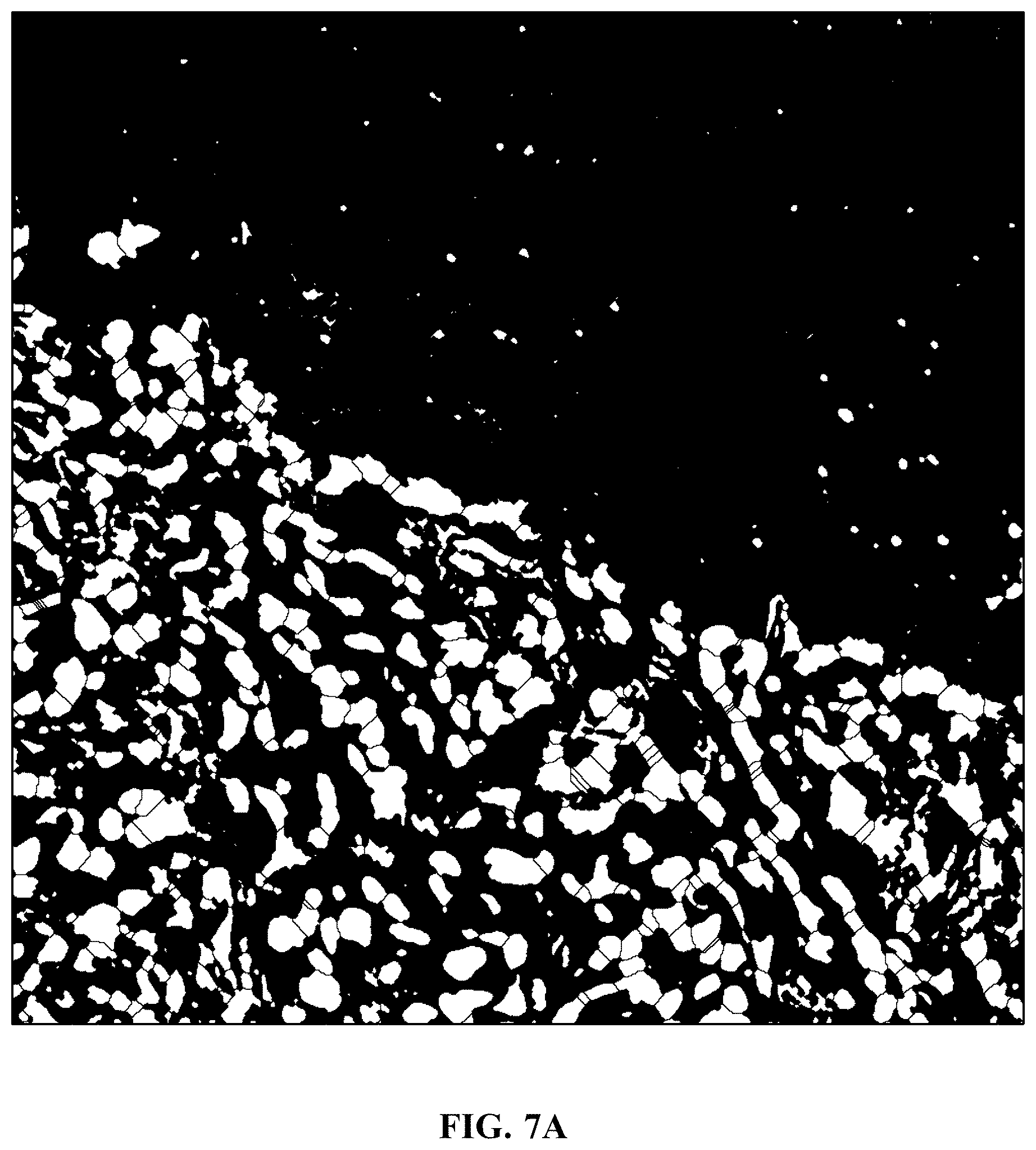 Patent US11810305 Figure 12 – Foreground segmentation and nucleus ranking for scoring dual ISH images