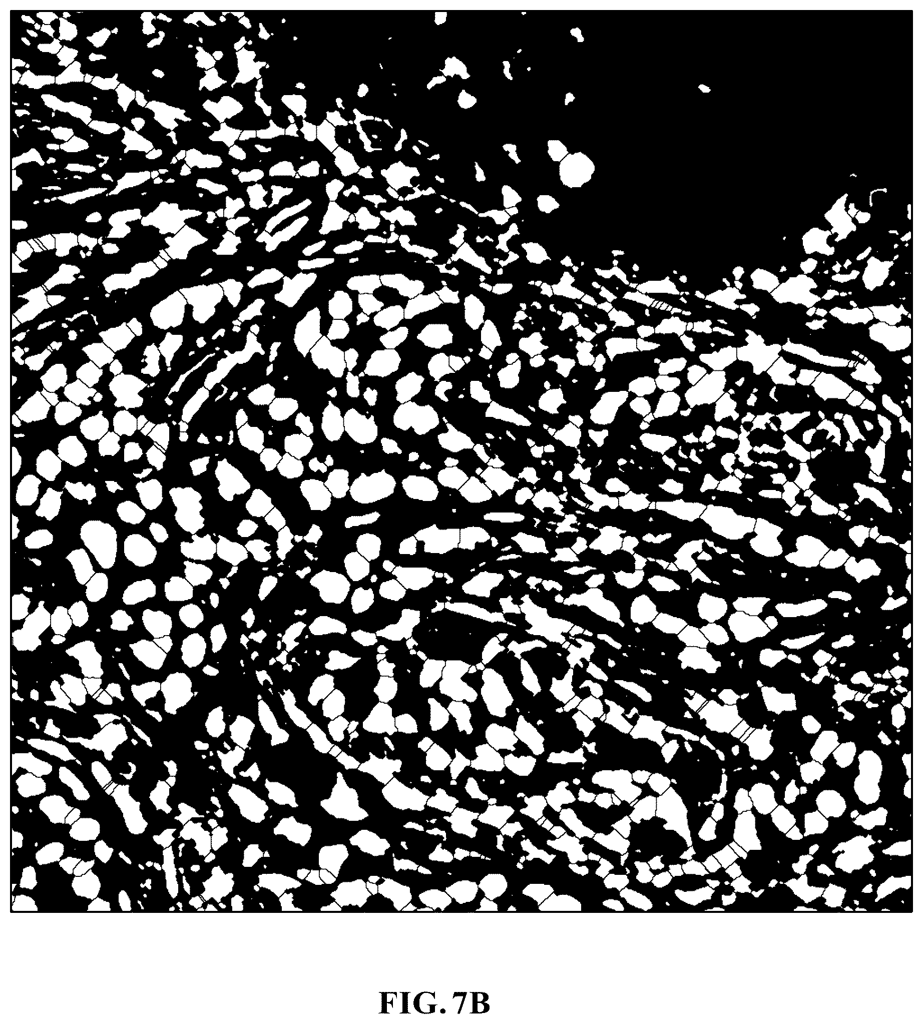 Patent US11810305 Figure 13 – Foreground segmentation and nucleus ranking for scoring dual ISH images