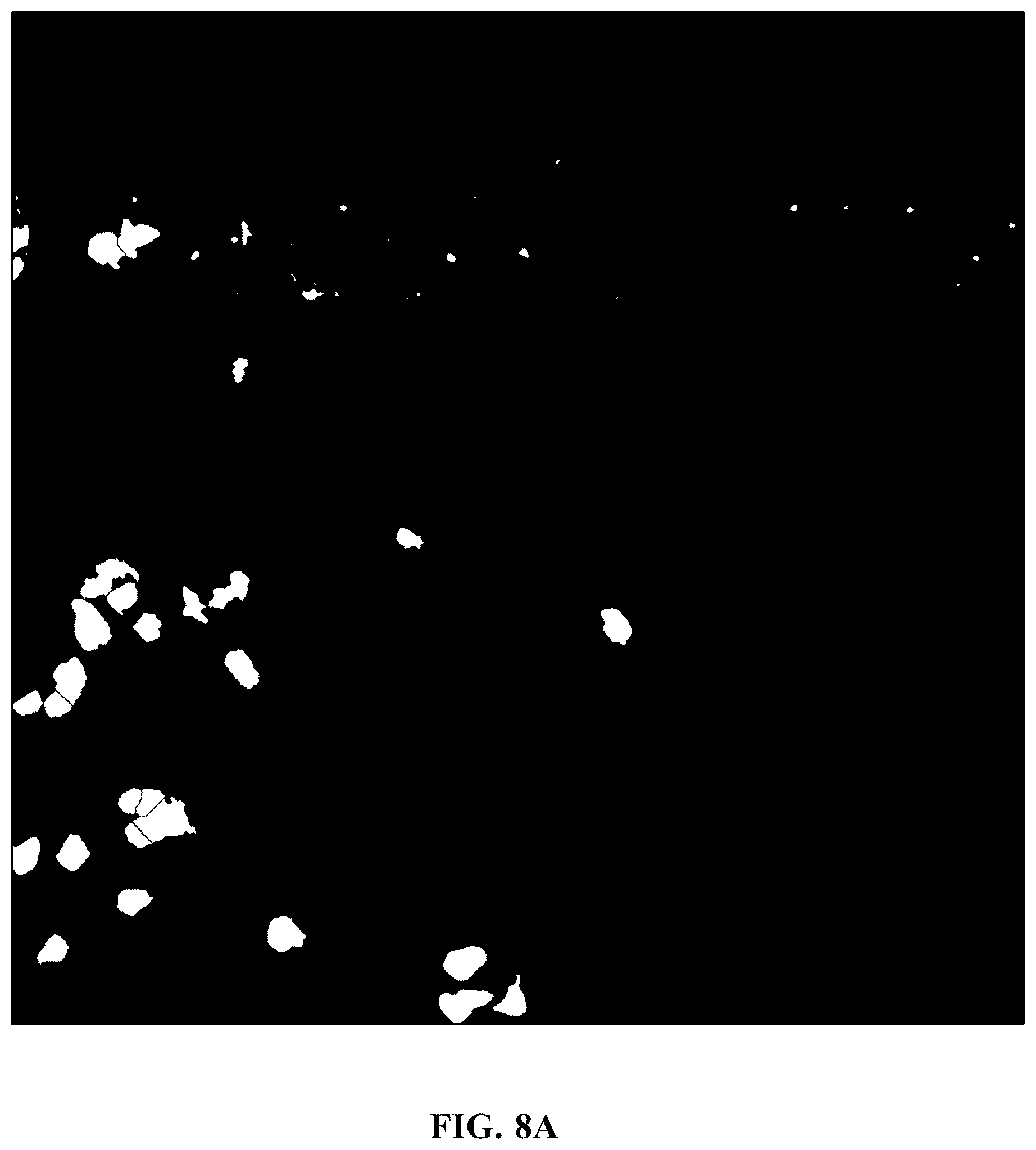 Patent US11810305 Figure 14 – Foreground segmentation and nucleus ranking for scoring dual ISH images