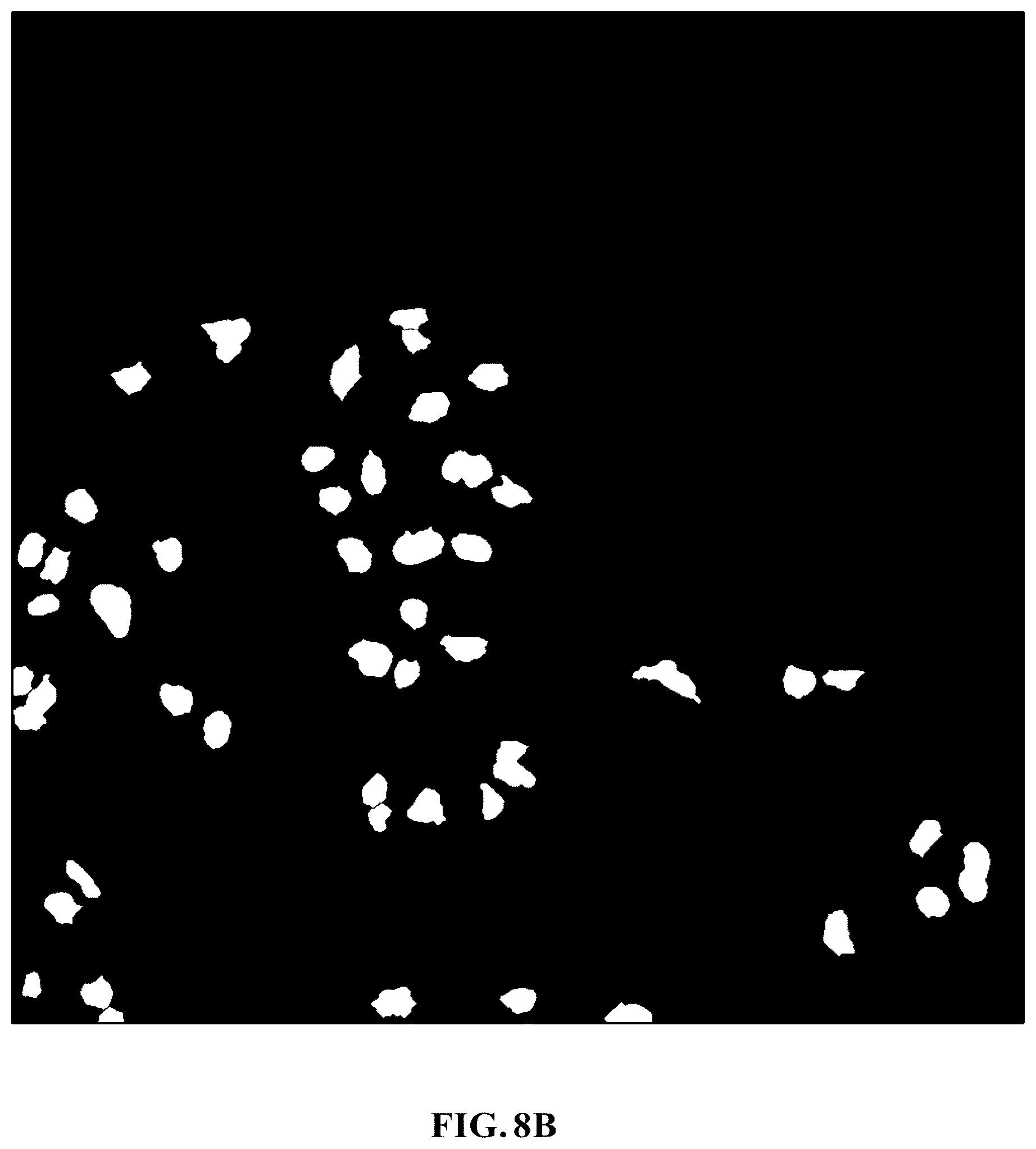 Patent US11810305 Figure 15 – Foreground segmentation and nucleus ranking for scoring dual ISH images