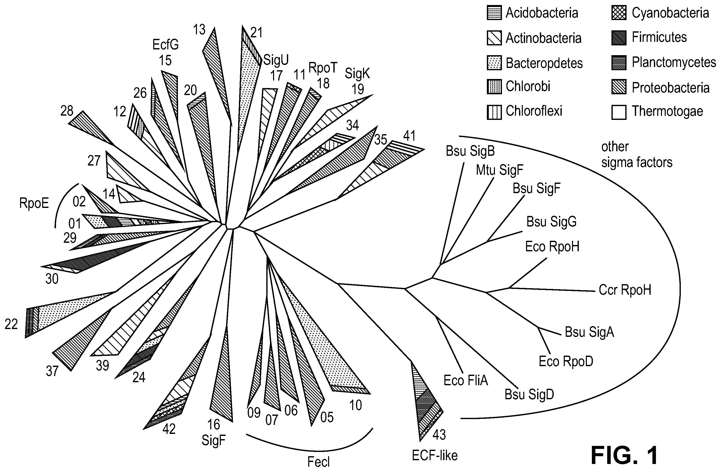 Patent US11810646 — Synthetic biology tools — Figure 1