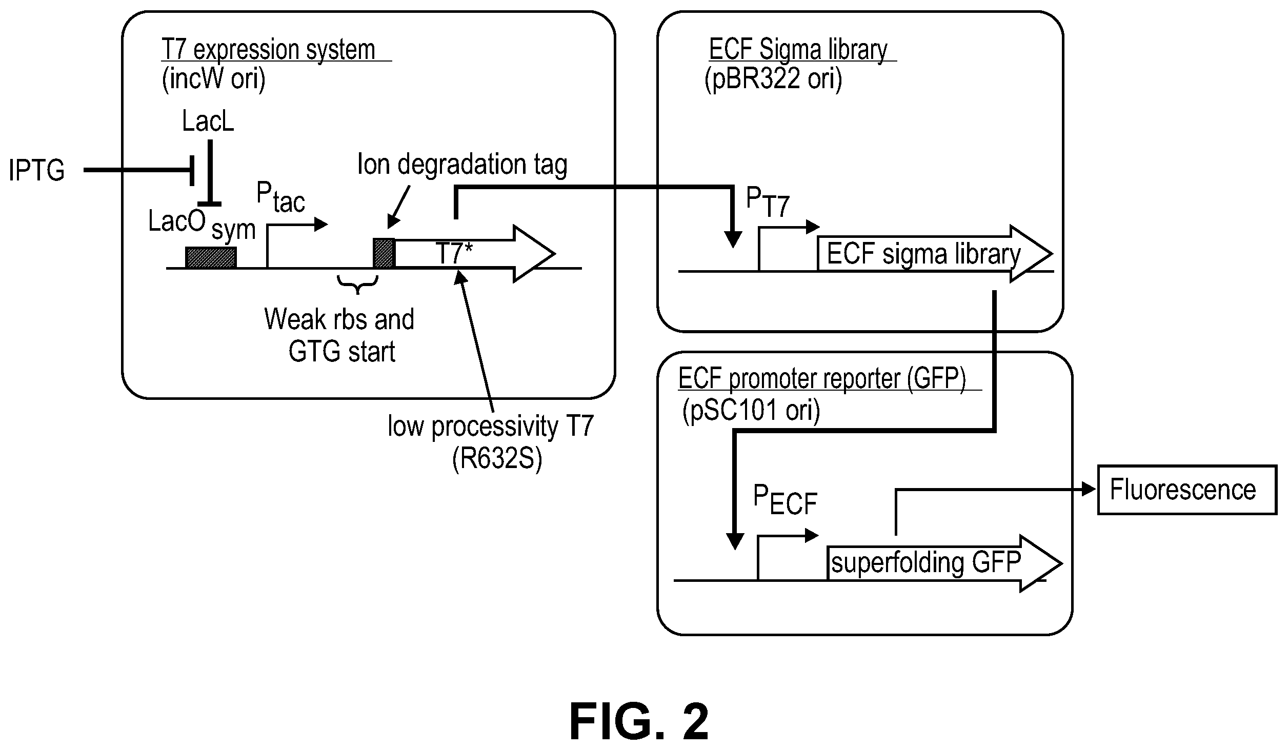 Patent US11810646 Figure 2 – Synthetic biology tools