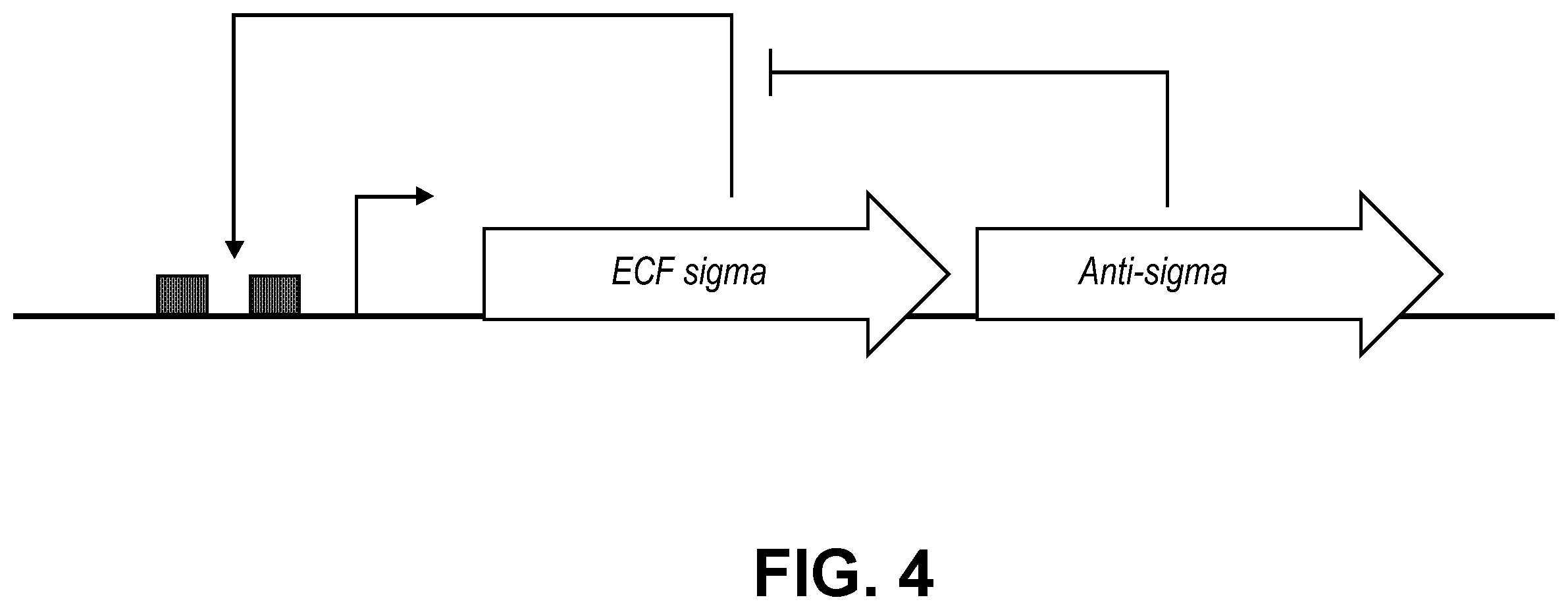Patent US11810646 Figure 4 – Synthetic biology tools
