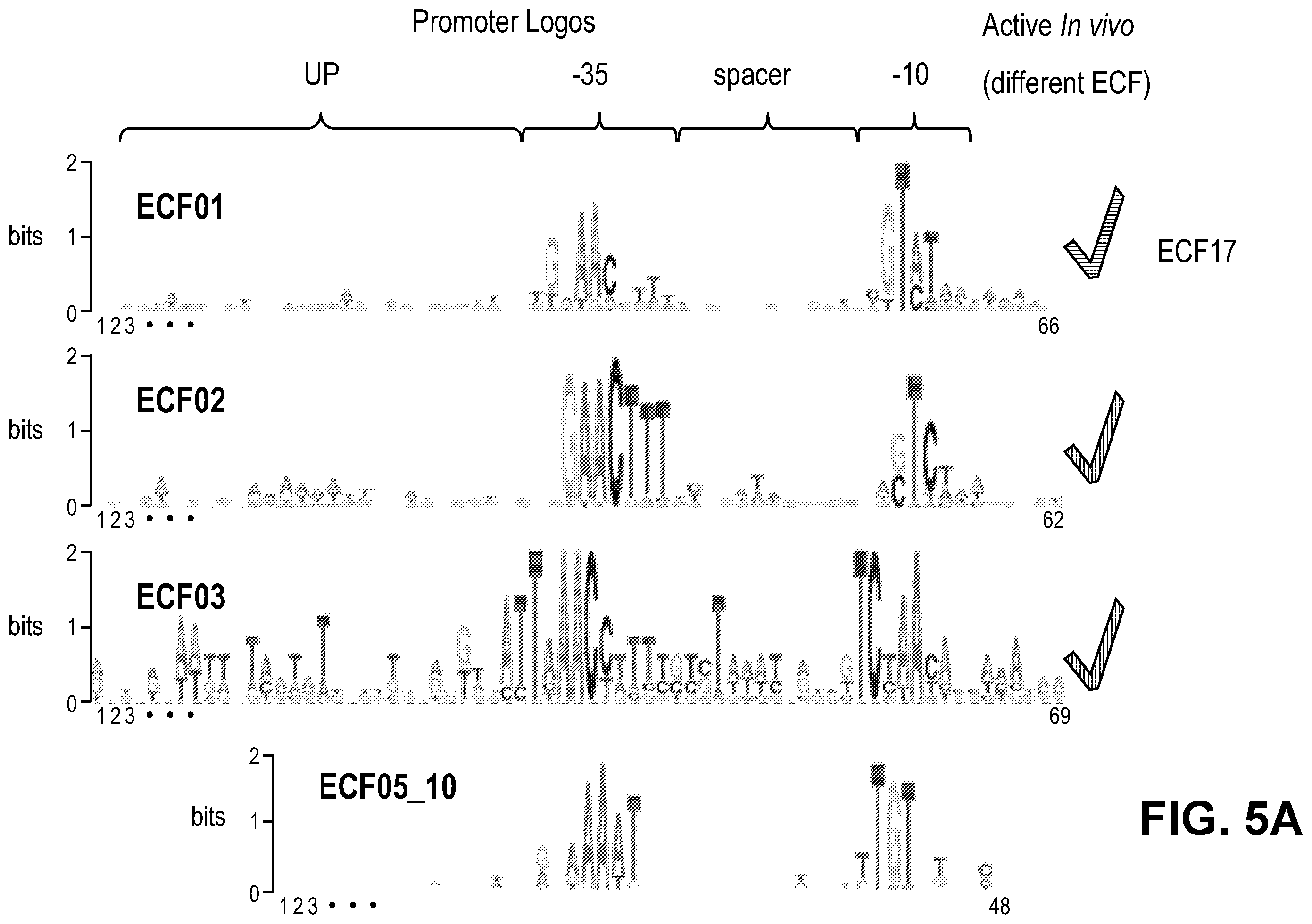 Patent US11810646 Figure 5 – Synthetic biology tools