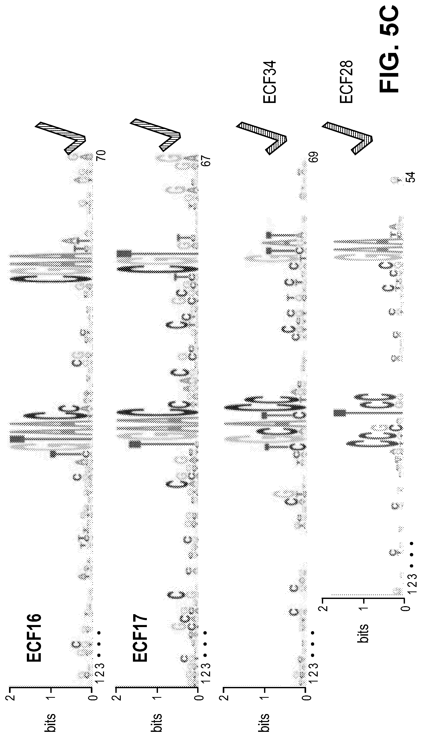Patent US11810646 Figure 7 – Synthetic biology tools