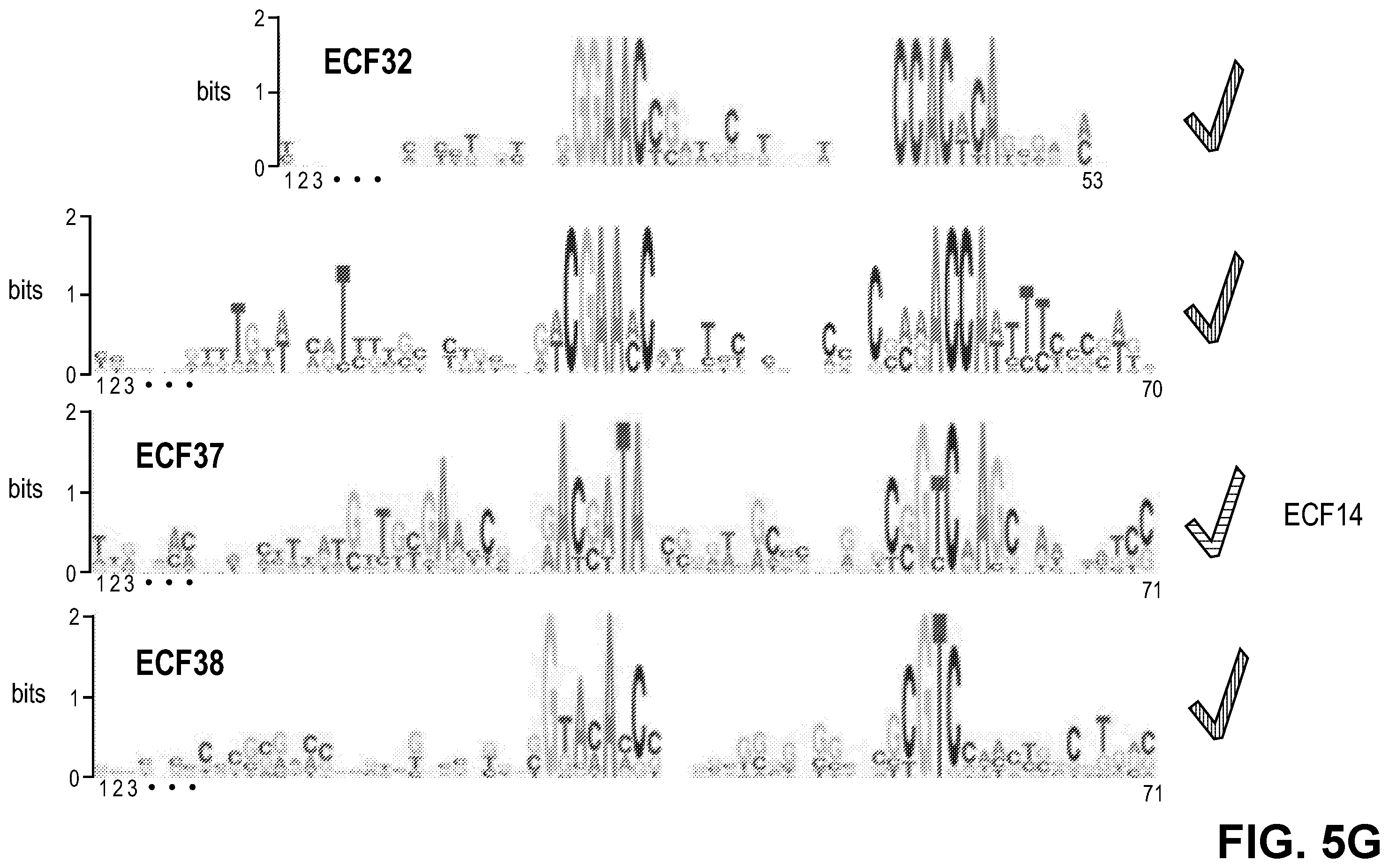Patent US11810646 Figure 11 – Synthetic biology tools