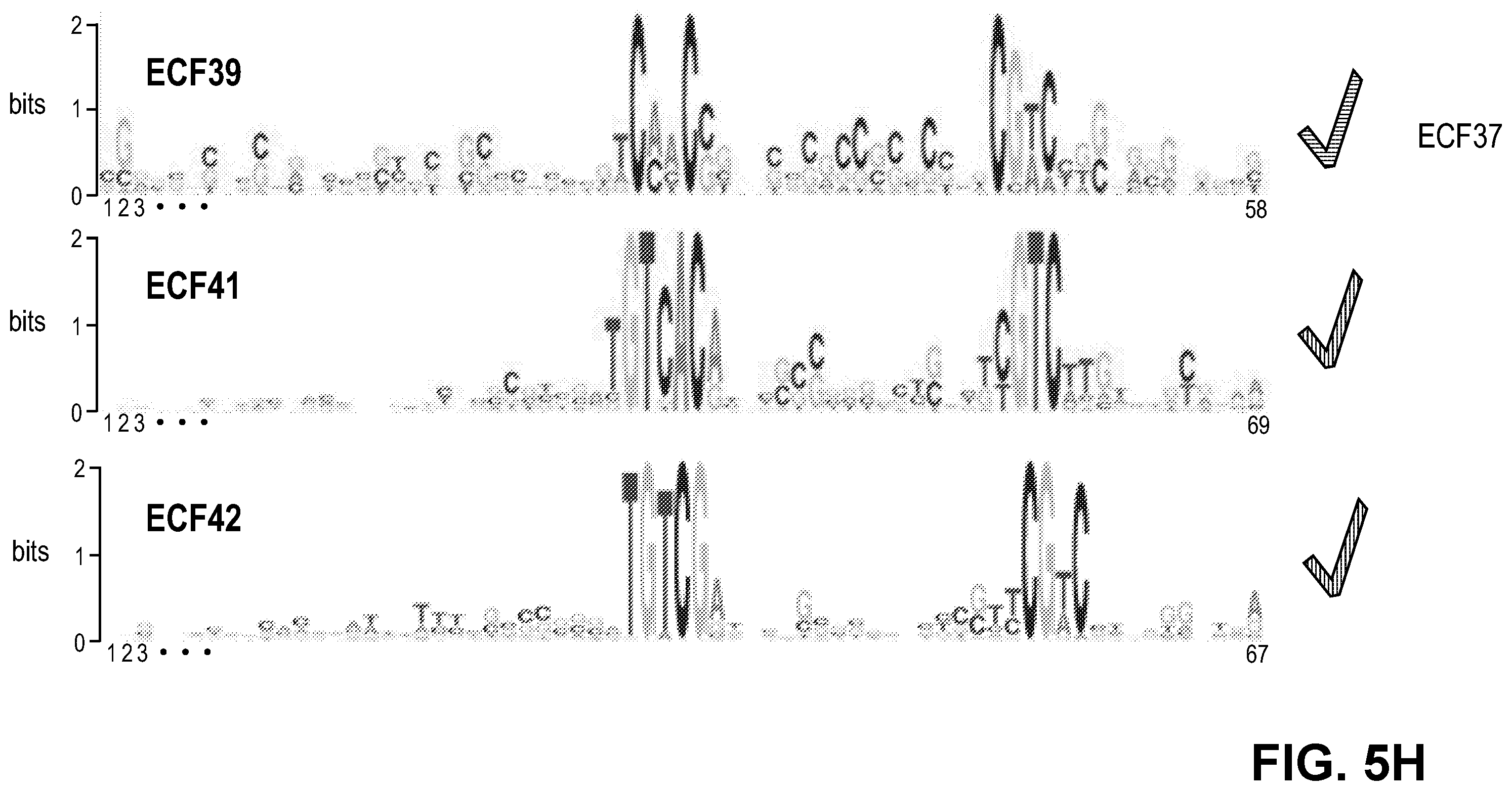 Patent US11810646 Figure 12 – Synthetic biology tools