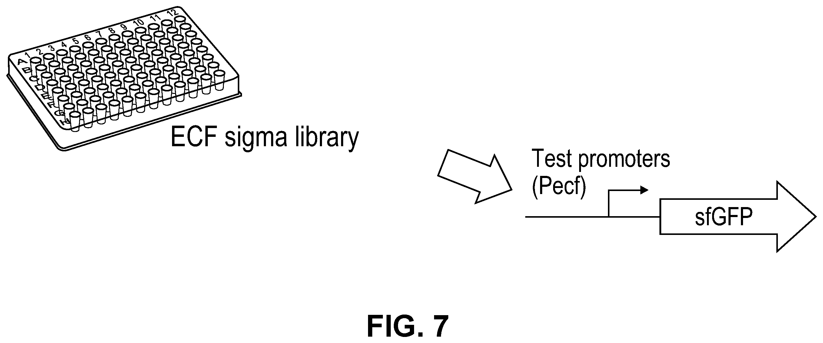 Patent US11810646 Figure 14 – Synthetic biology tools