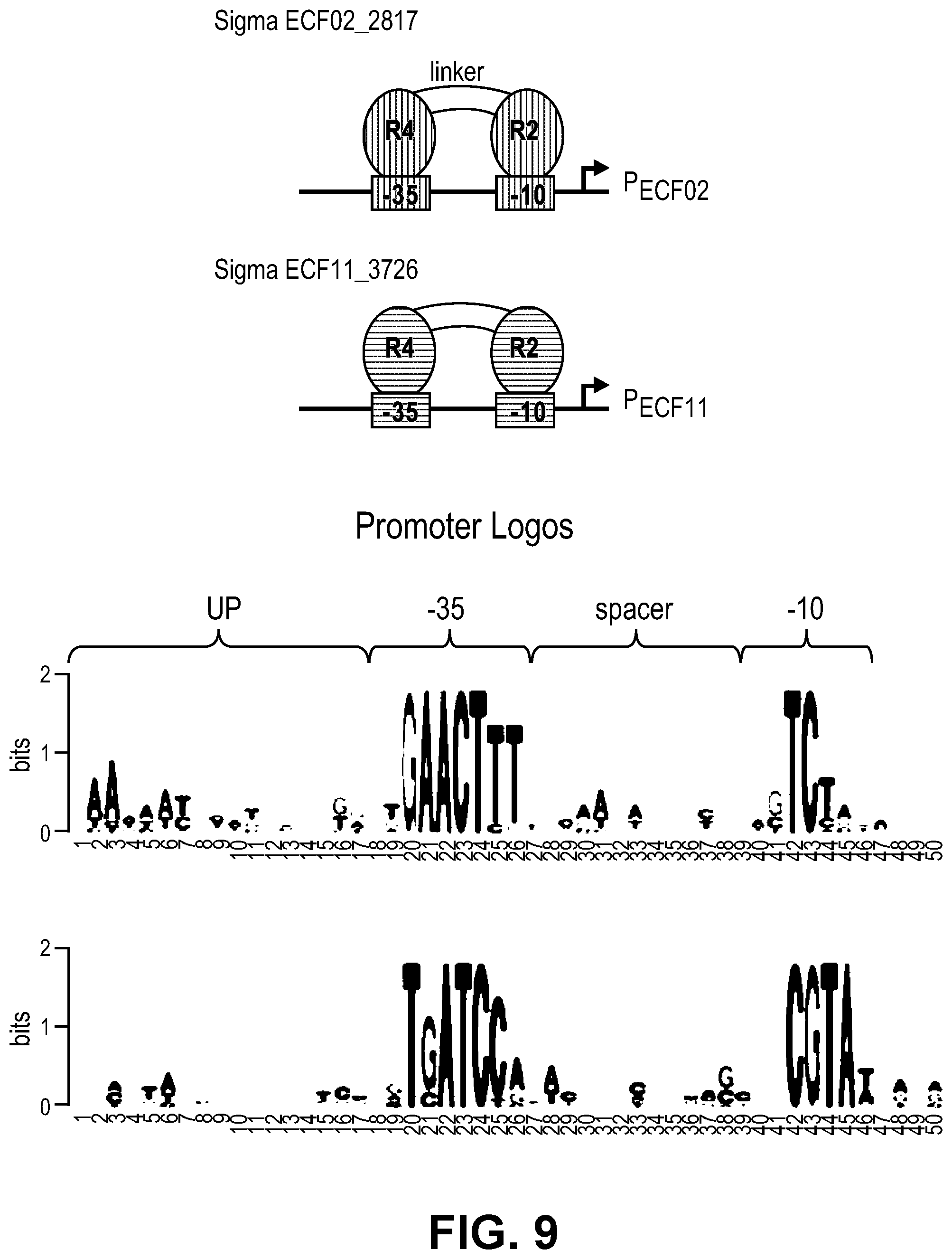 Patent US11810646 Figure 16 – Synthetic biology tools