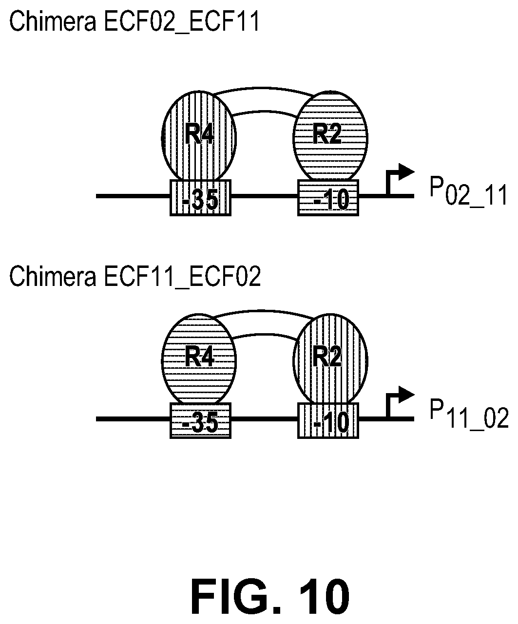 Patent US11810646 Figure 17 – Synthetic biology tools