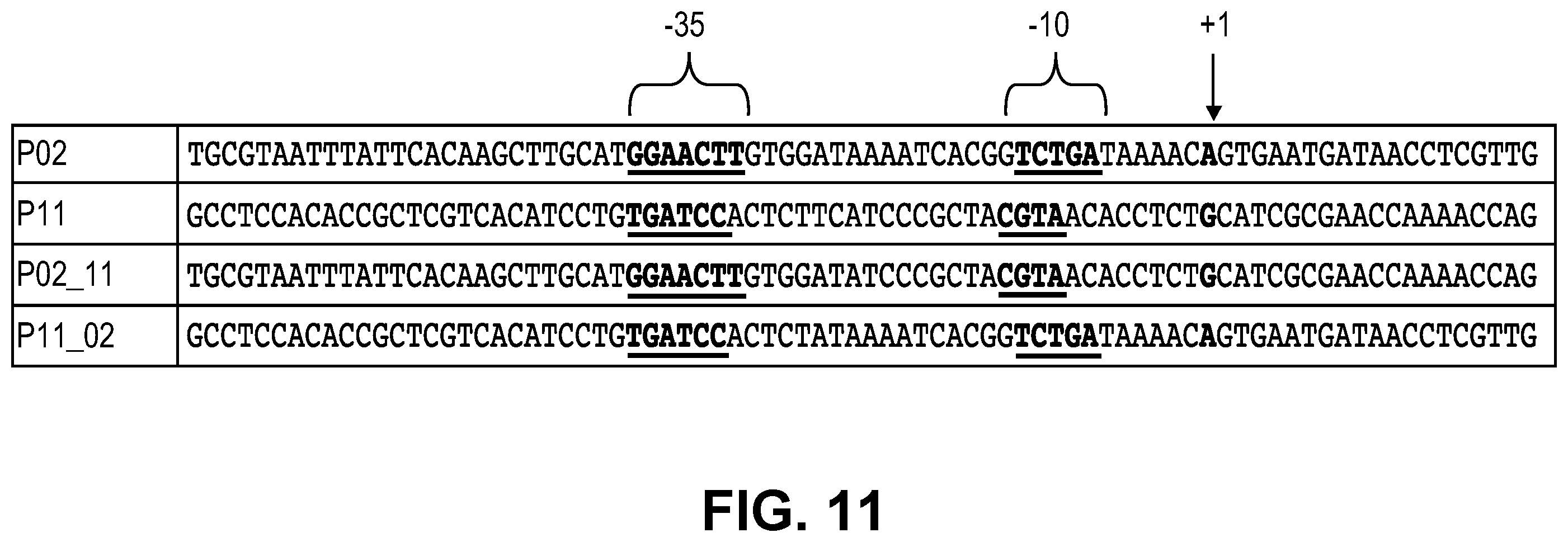 Patent US11810646 Figure 18 – Synthetic biology tools