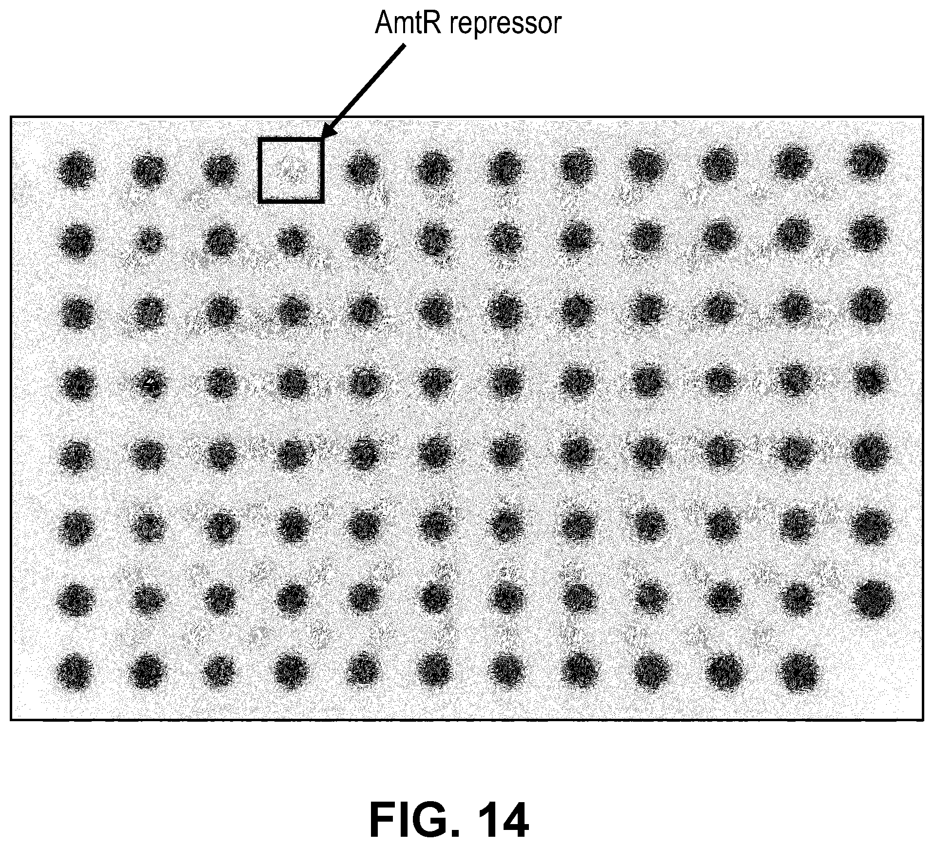 Patent US11810646 Figure 20 – Synthetic biology tools