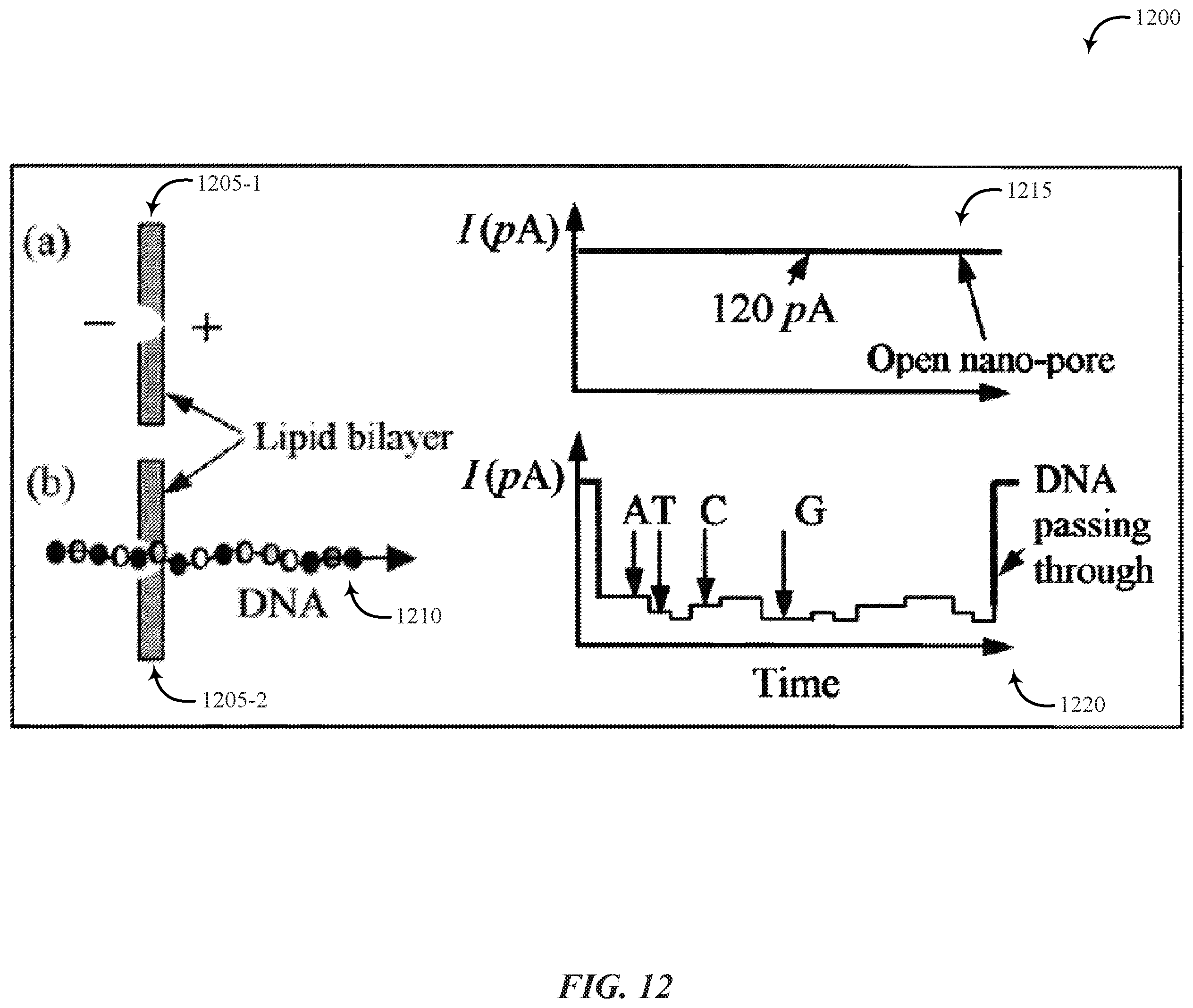 Patent US11810651 Figure 12 – Multi-dimensional mapping of binary data to DNA sequences