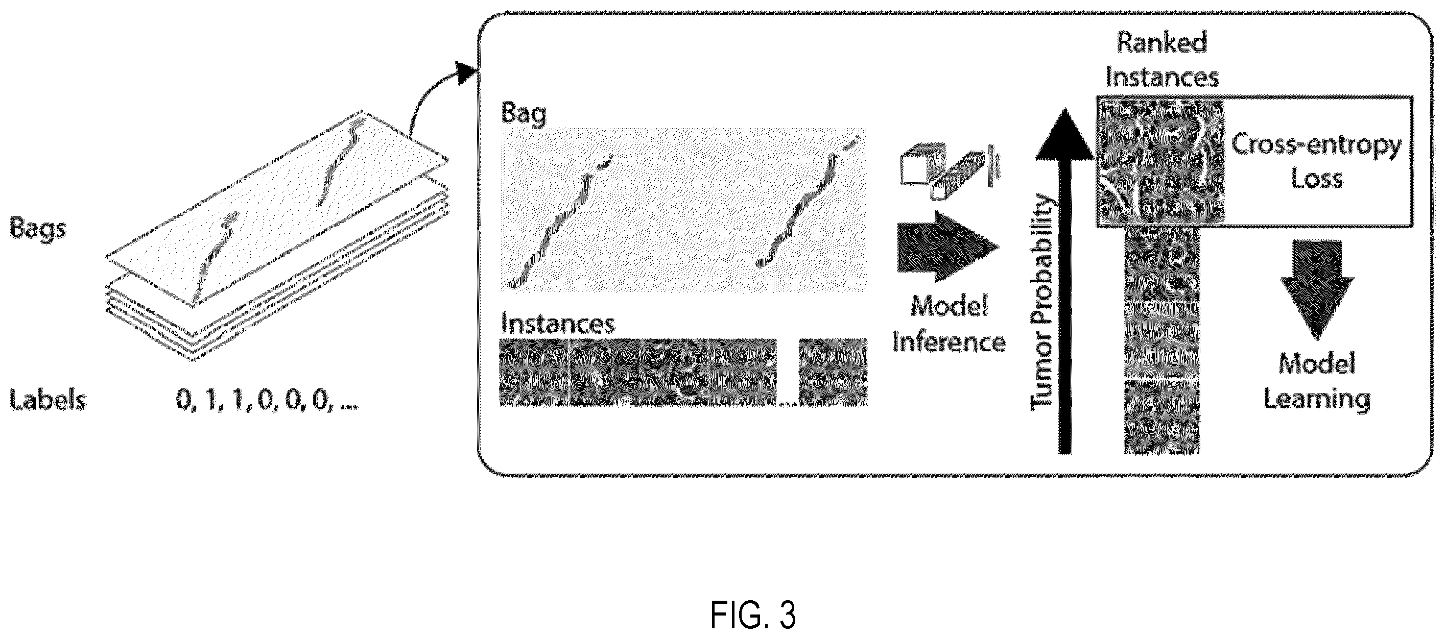 Patent US11810677 Figure 3 – Systems and methods for multiple instance learning for classification and localization in biomedical imaging