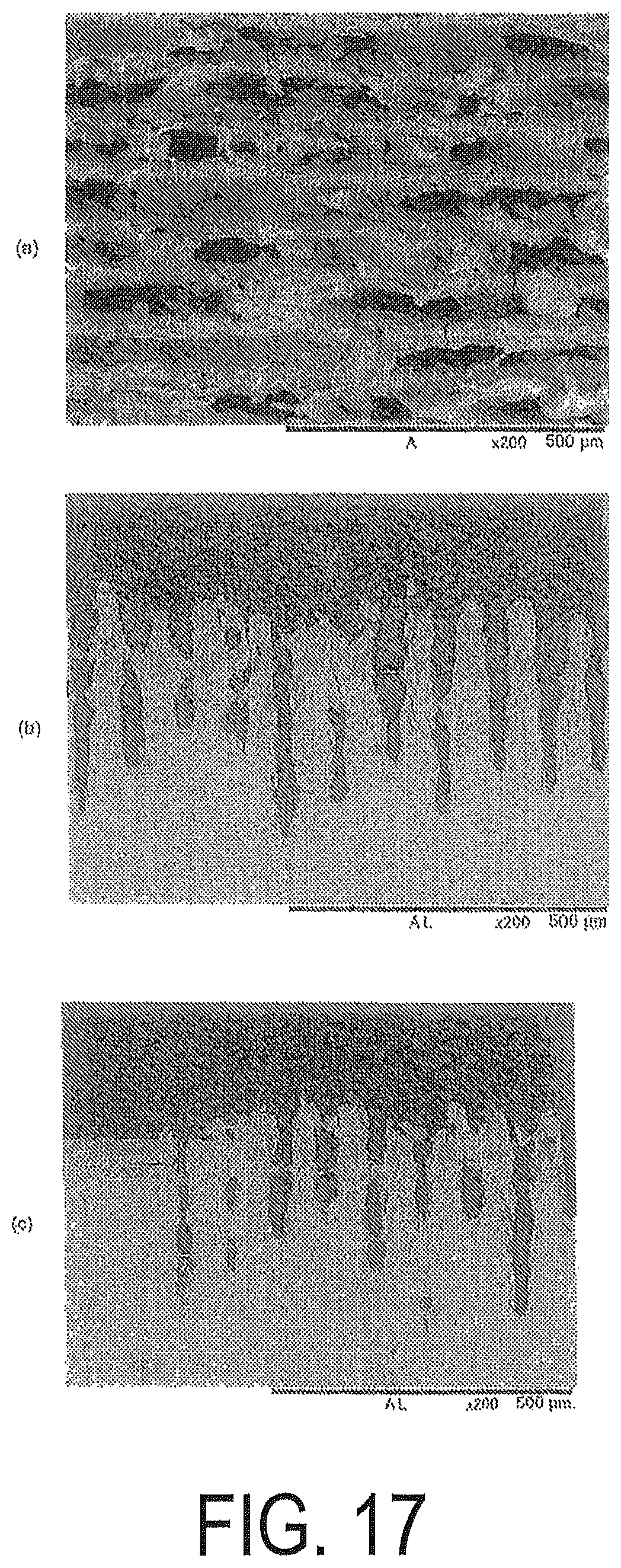Patent US11810713 Figure 12 – Rare earth magnet precursor or rare earth magnet molded body having roughened structure on surface and method for manufacturing same