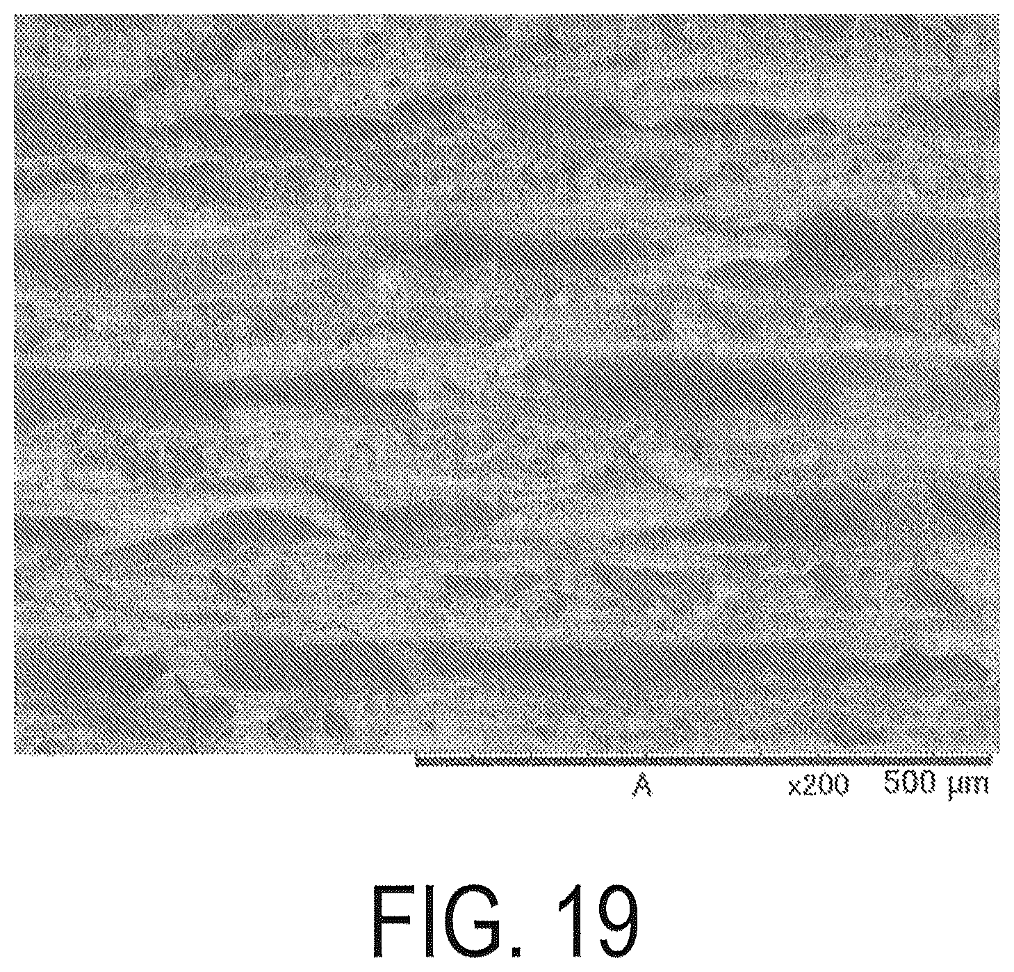 Patent US11810713 Figure 14 – Rare earth magnet precursor or rare earth magnet molded body having roughened structure on surface and method for manufacturing same
