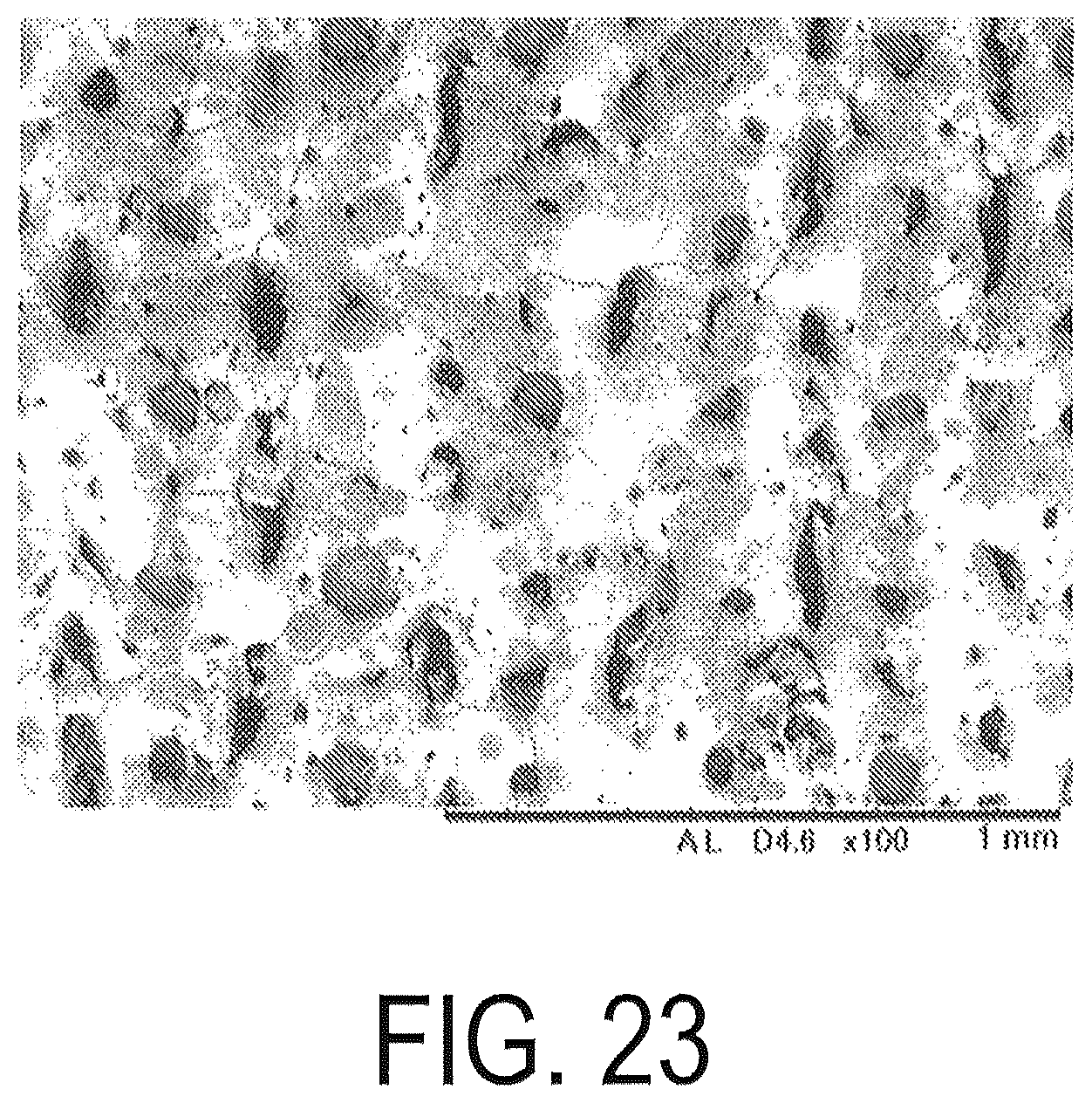 Patent US11810713 Figure 17 – Rare earth magnet precursor or rare earth magnet molded body having roughened structure on surface and method for manufacturing same