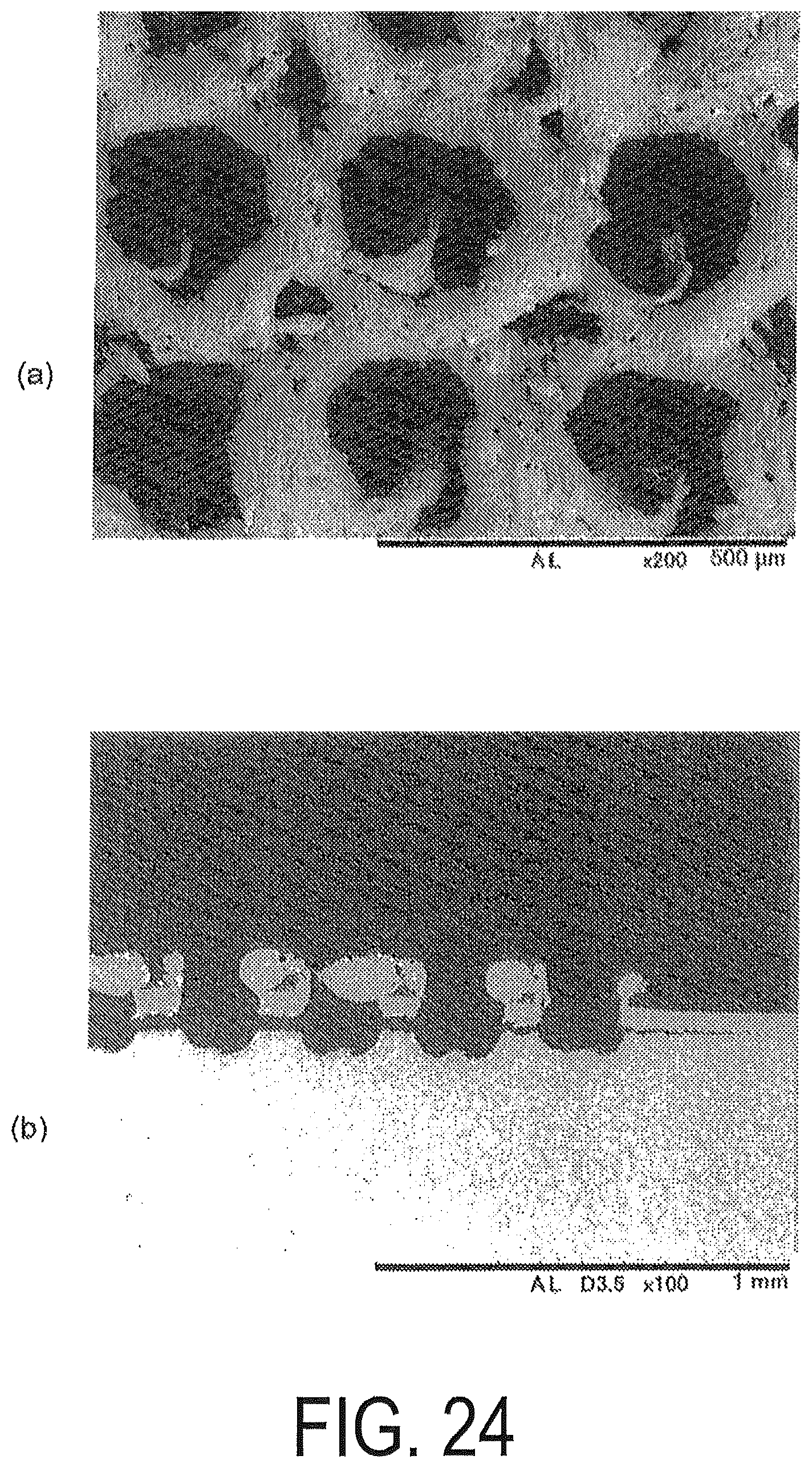 Patent US11810713 Figure 18 – Rare earth magnet precursor or rare earth magnet molded body having roughened structure on surface and method for manufacturing same