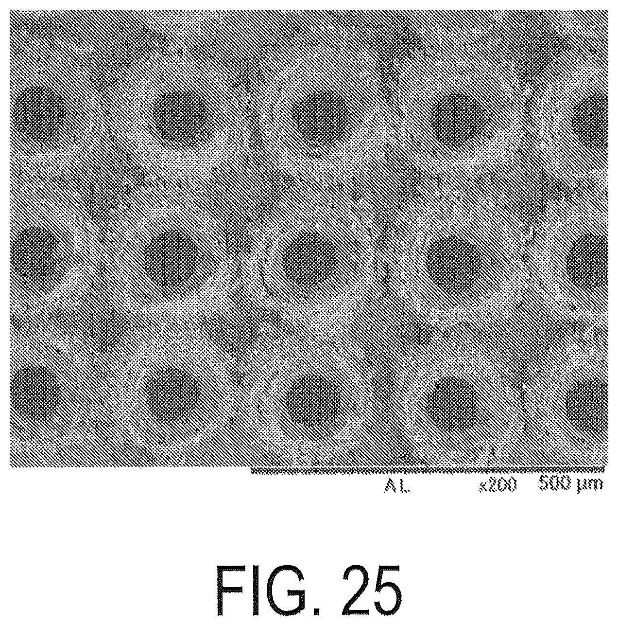 Patent US11810713 Figure 19 – Rare earth magnet precursor or rare earth magnet molded body having roughened structure on surface and method for manufacturing same