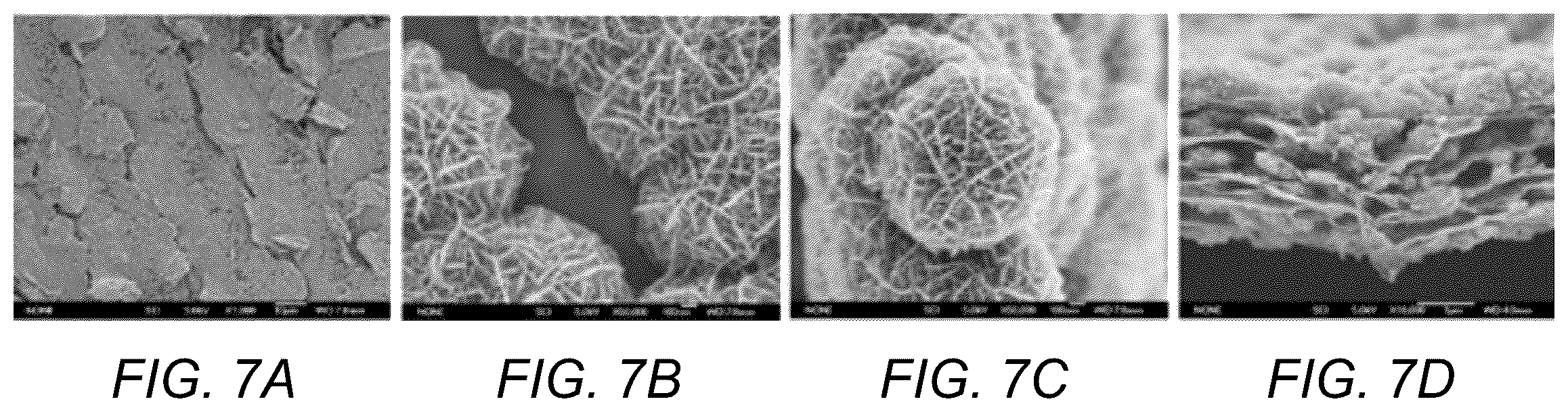 Patent US11810716 Figure 5 – Porous interconnected corrugated carbon-based network (ICCN) composite