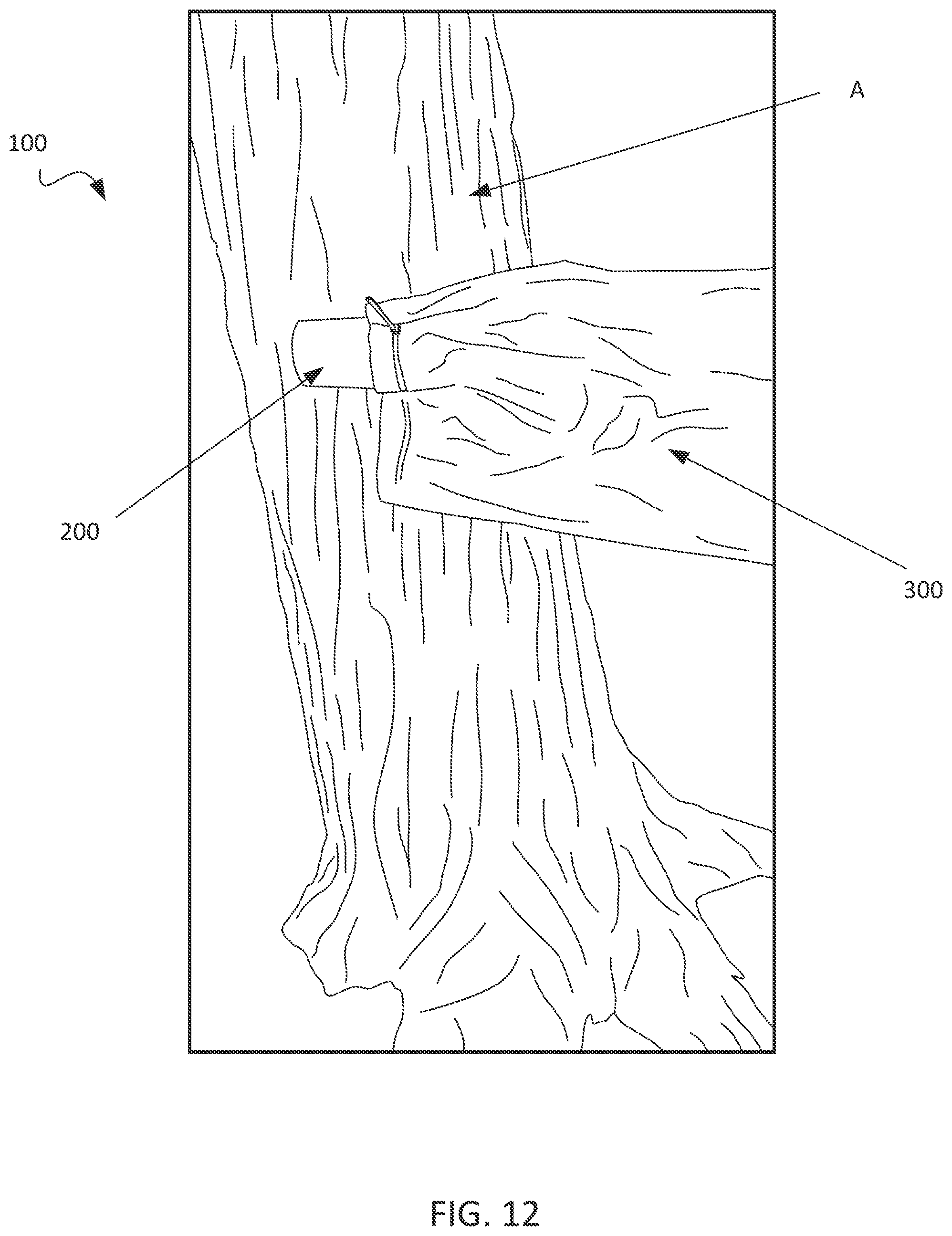 Patent US11812704 Figure 12 – Sap collector
