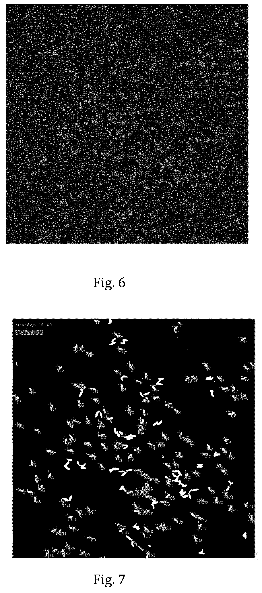 Patent US11812723 Figure 5 – Method and apparatus for breeding and collecting insect larvae