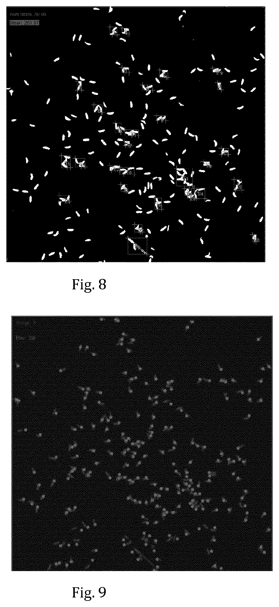 Patent US11812723 Figure 6 – Method and apparatus for breeding and collecting insect larvae