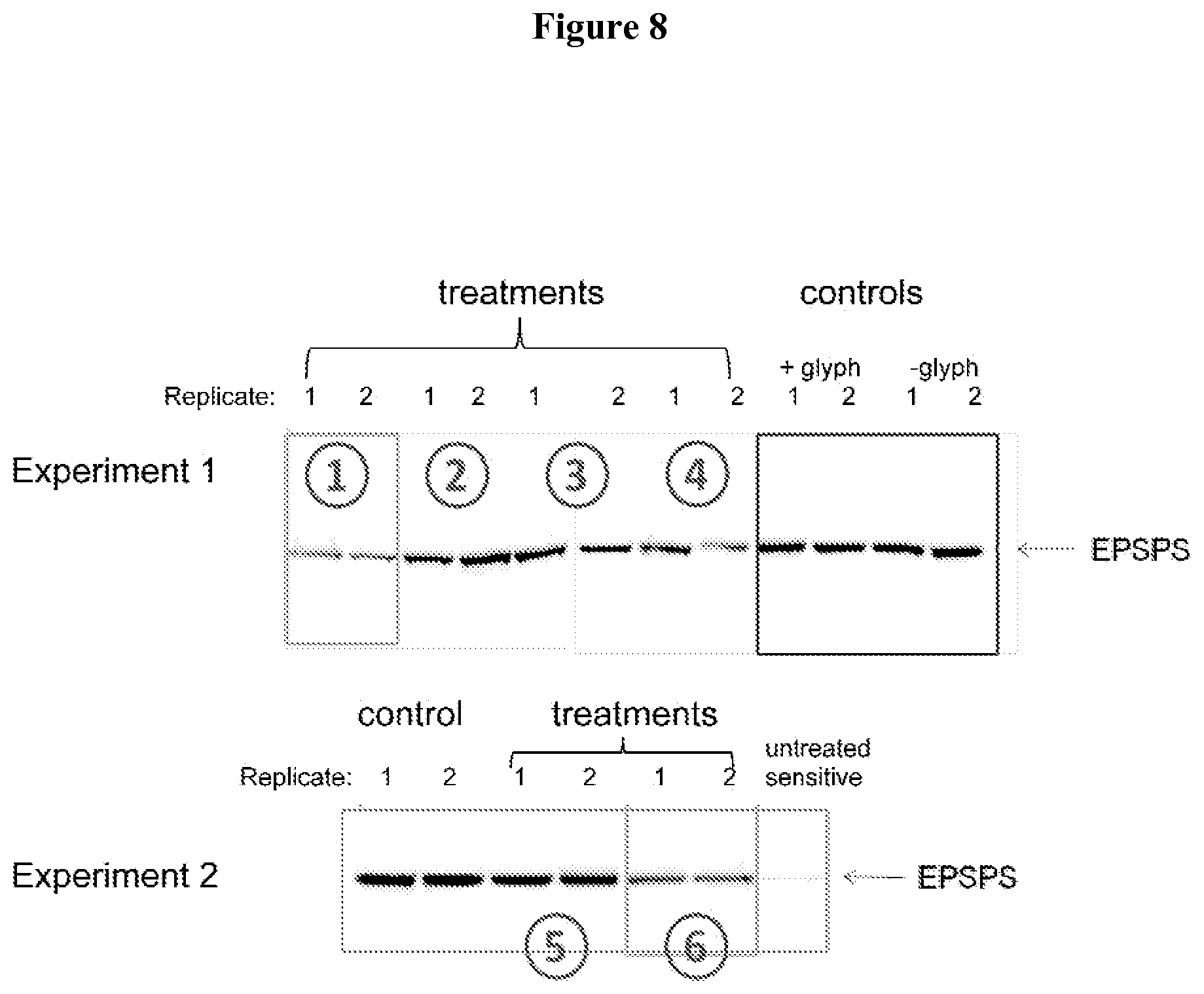 Patent US11812738 Figure 8 – 