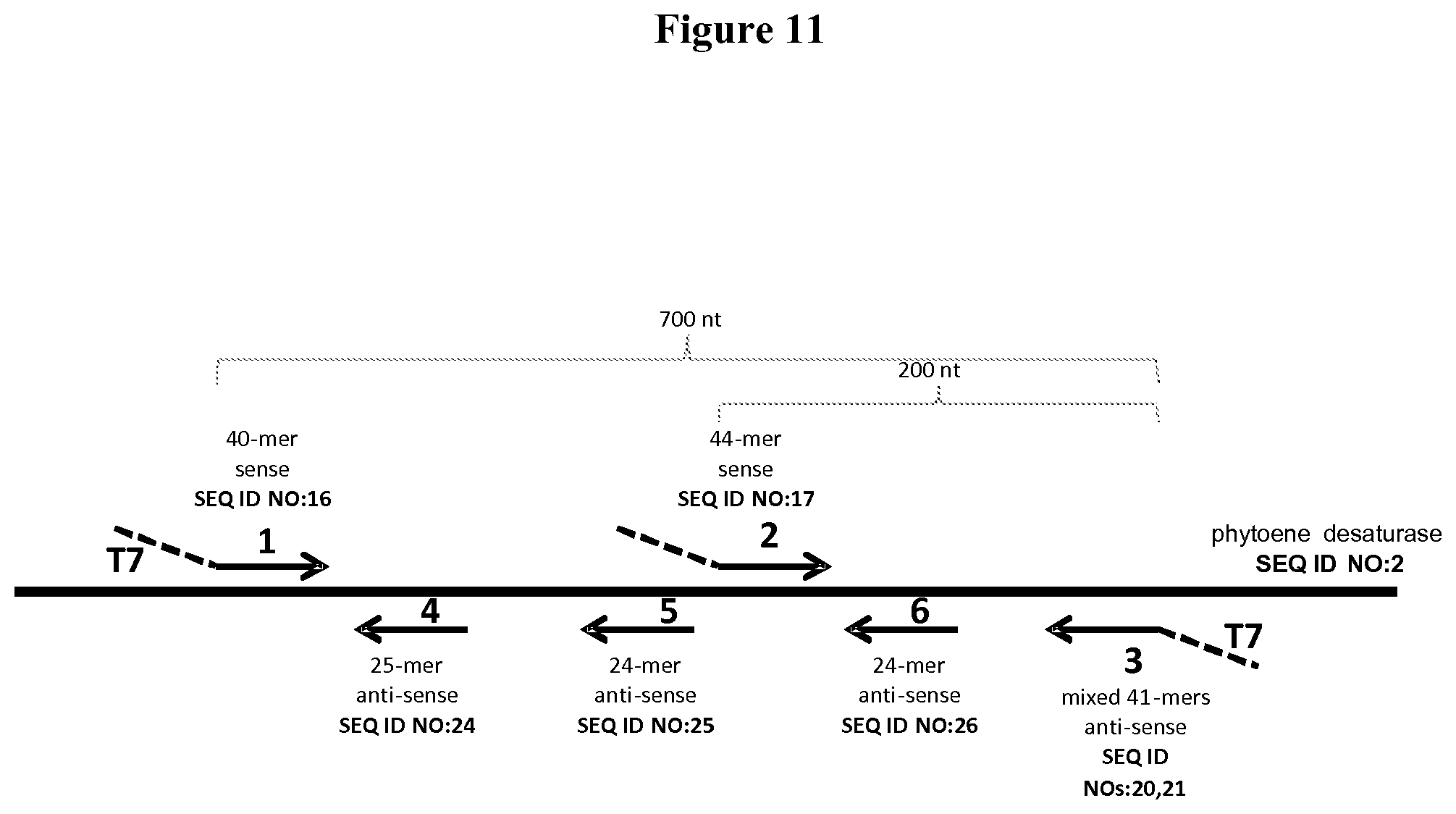Patent US11812738 Figure 11 – 