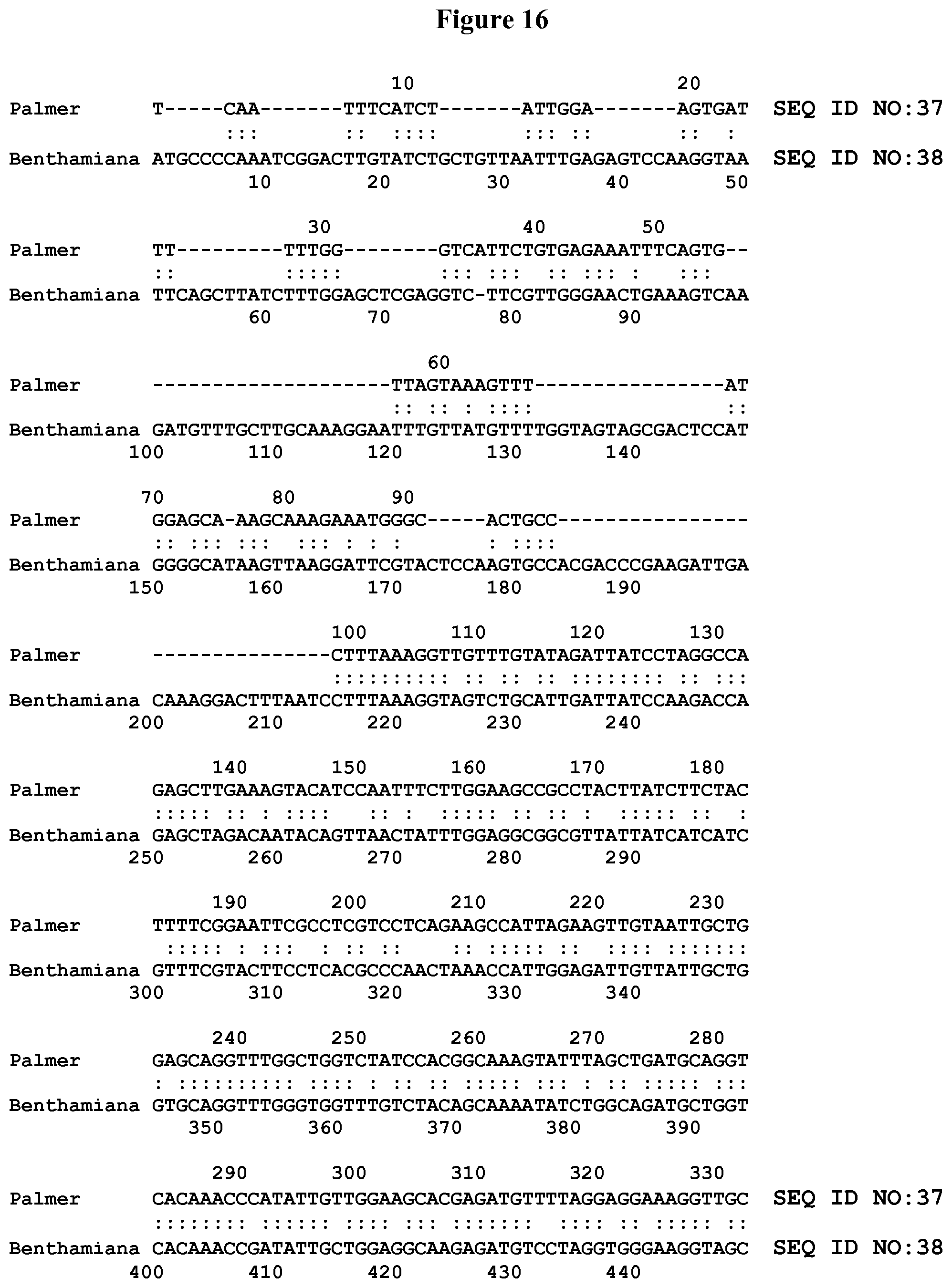 Patent US11812738 Figure 16 – 