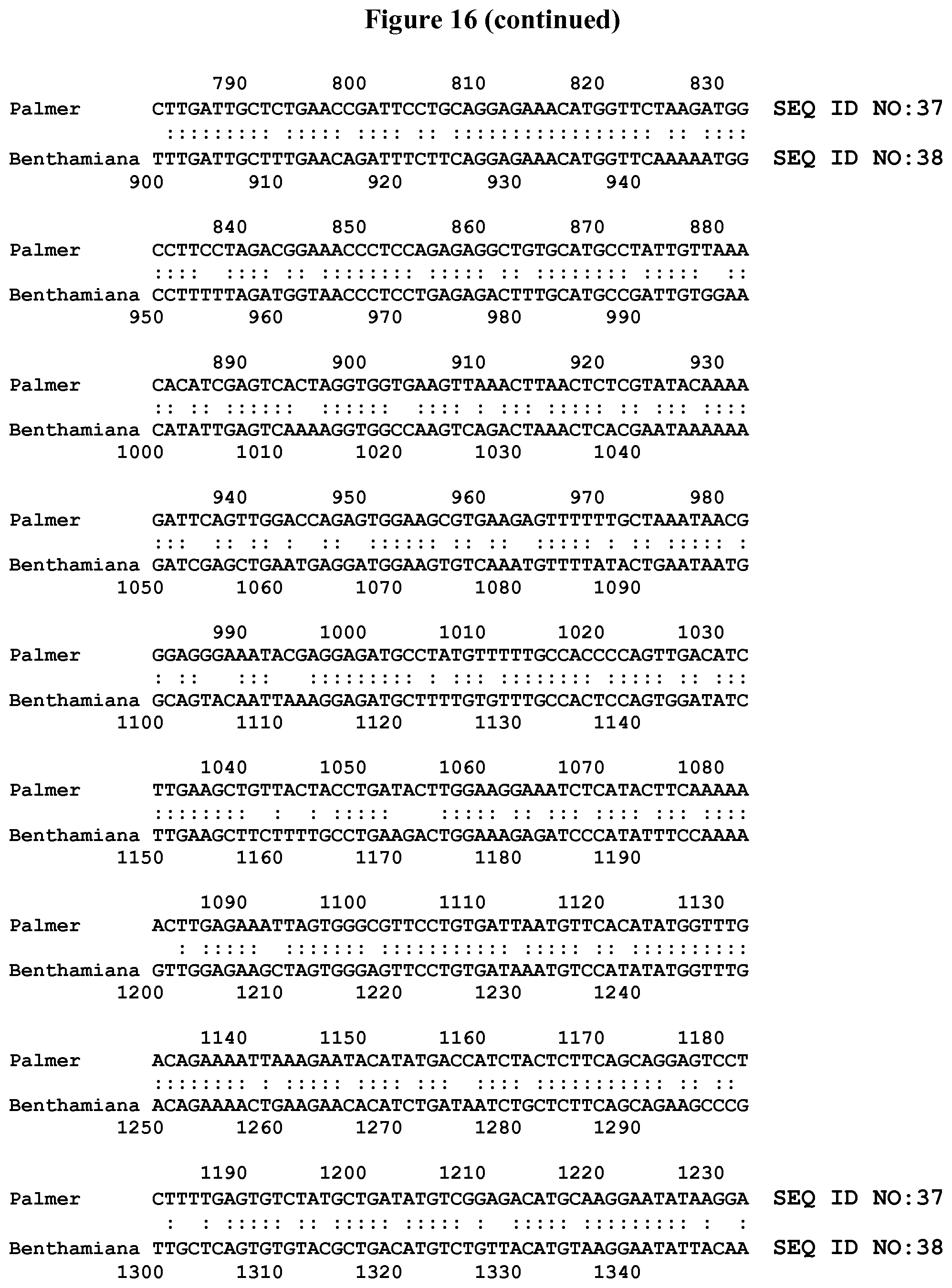 Patent US11812738 Figure 18 – 
