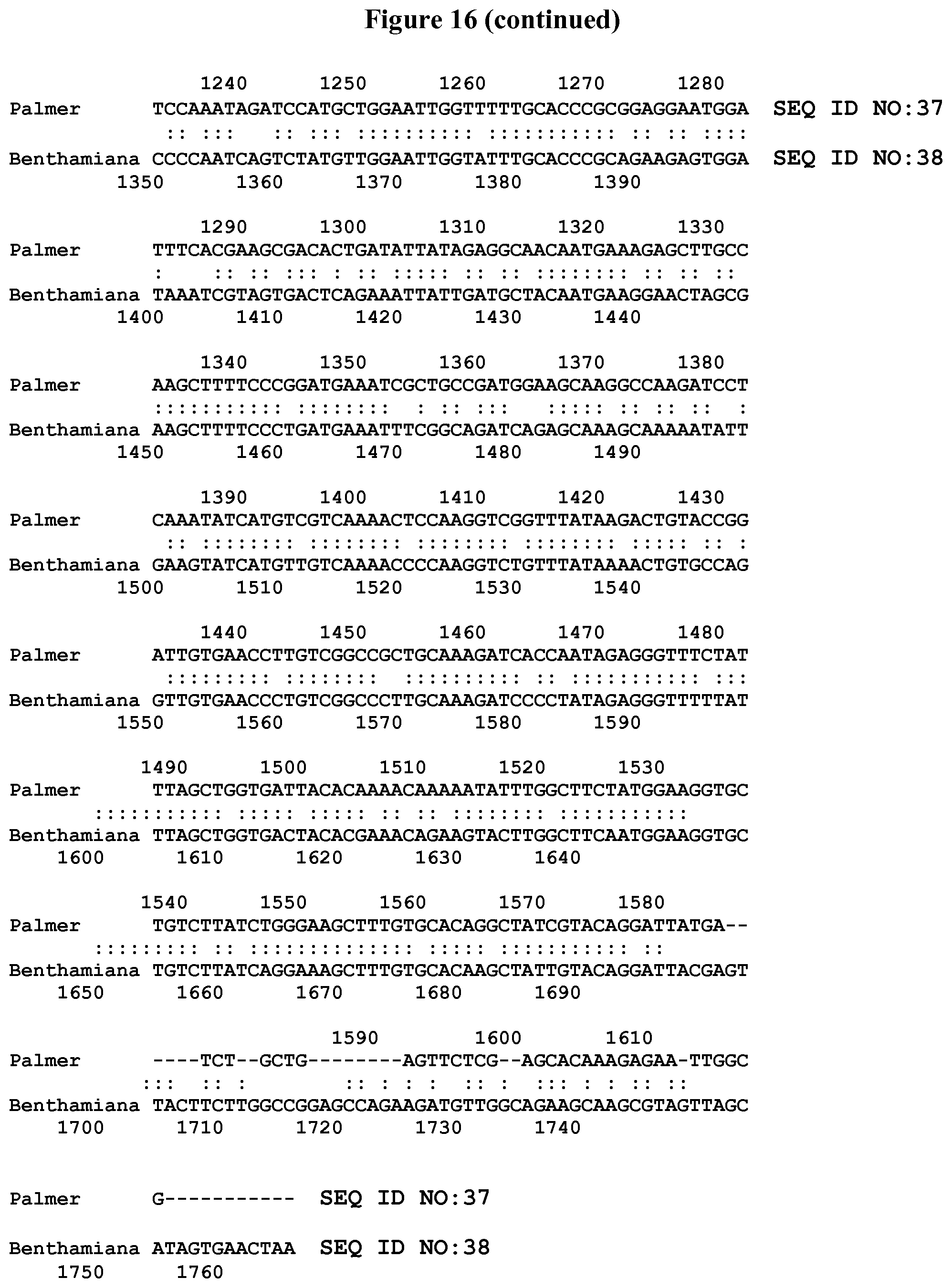 Patent US11812738 Figure 19 – 