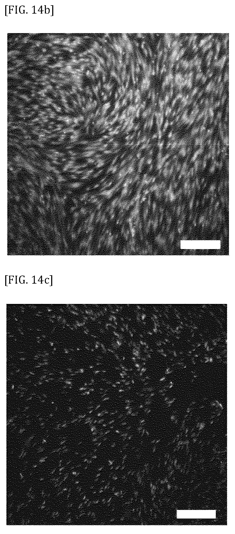 Patent US11812739 Figure 15 – Vitreous state stabilizing agent for animal cell cryopreservation solution