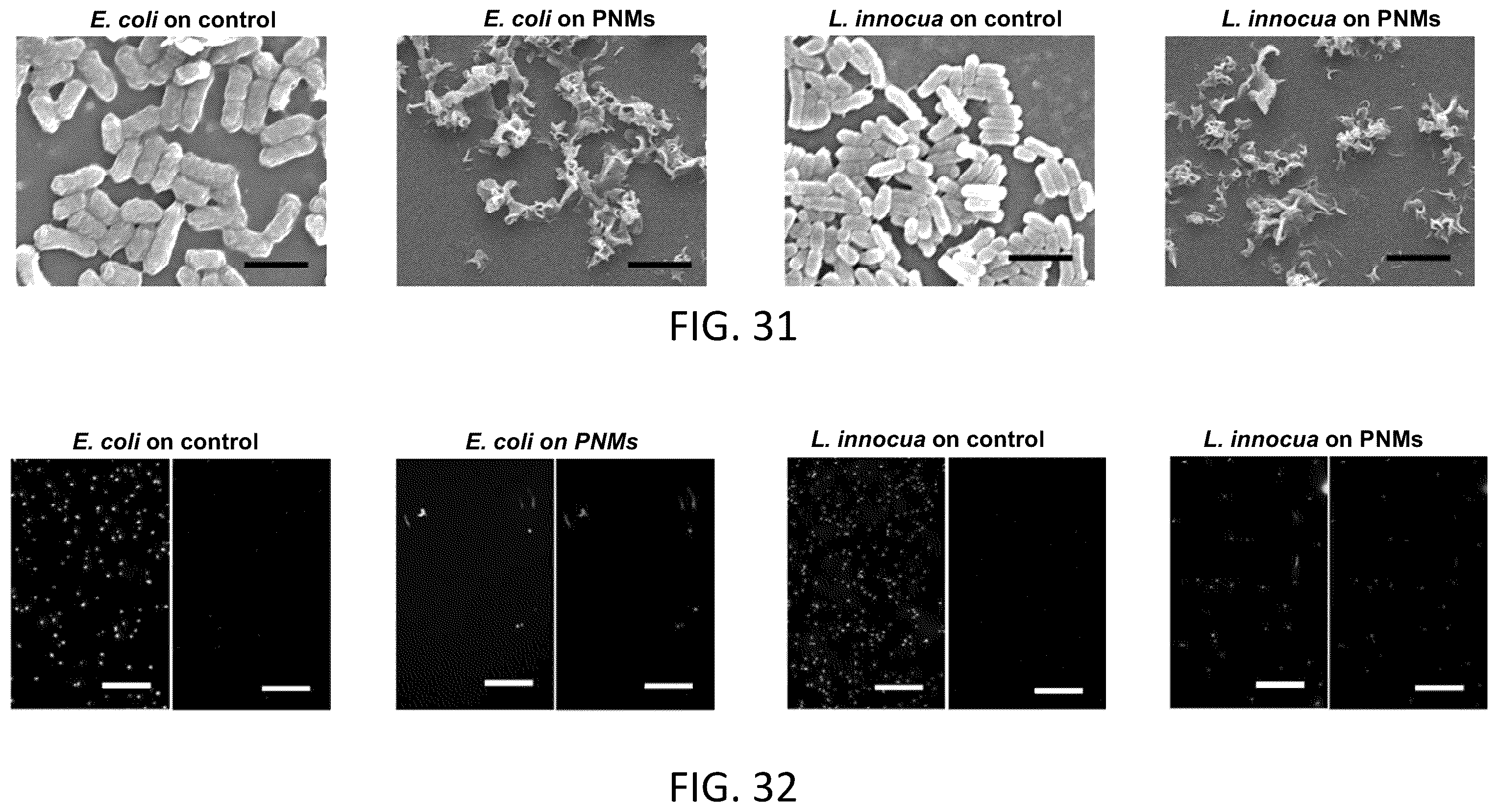 Patent US11812742 Figure 17 – Biocidal solar cell