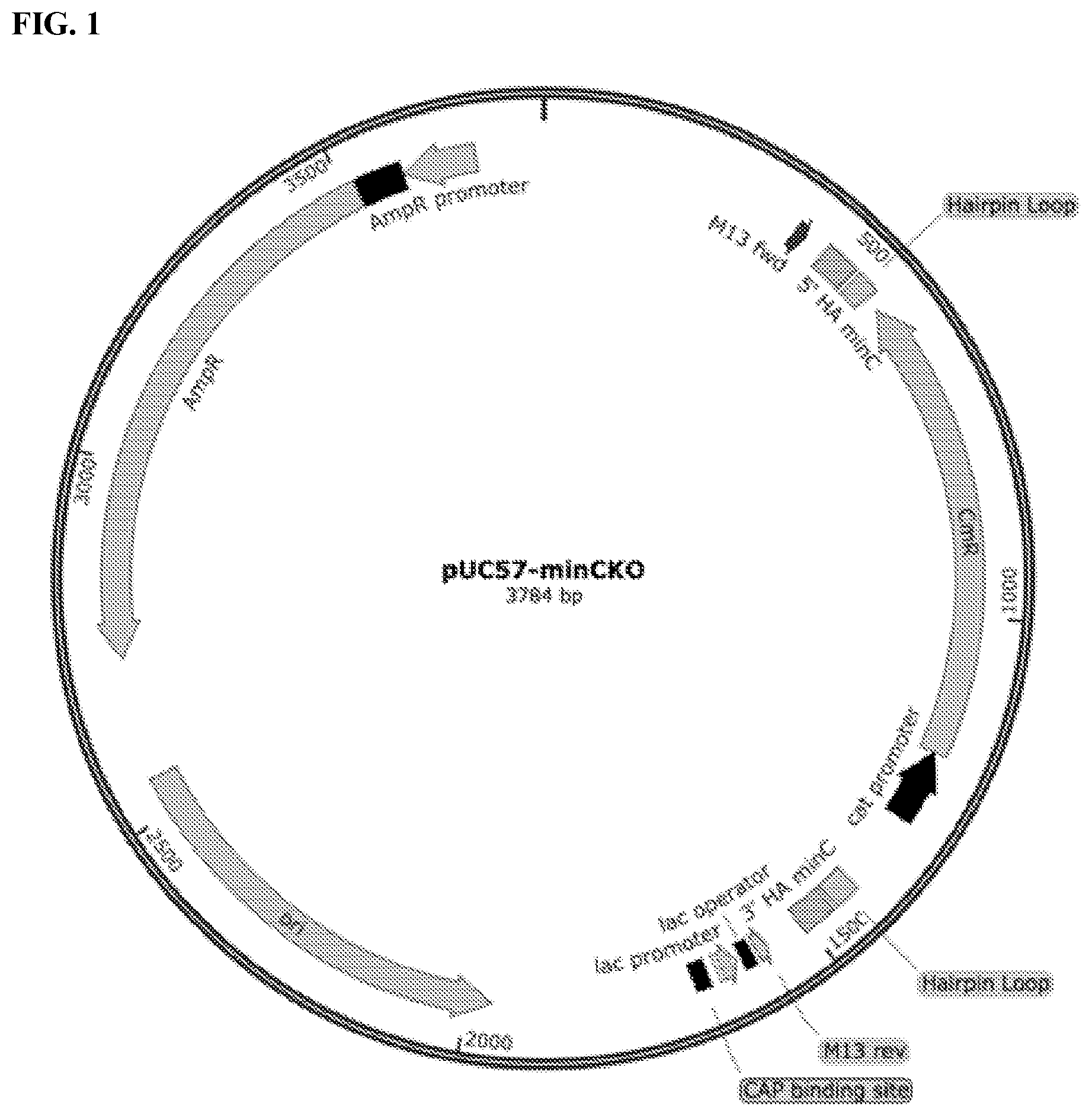 Patent US11812743 Figure 1 – Compositions and methods for scalable production and delivery of biologicals