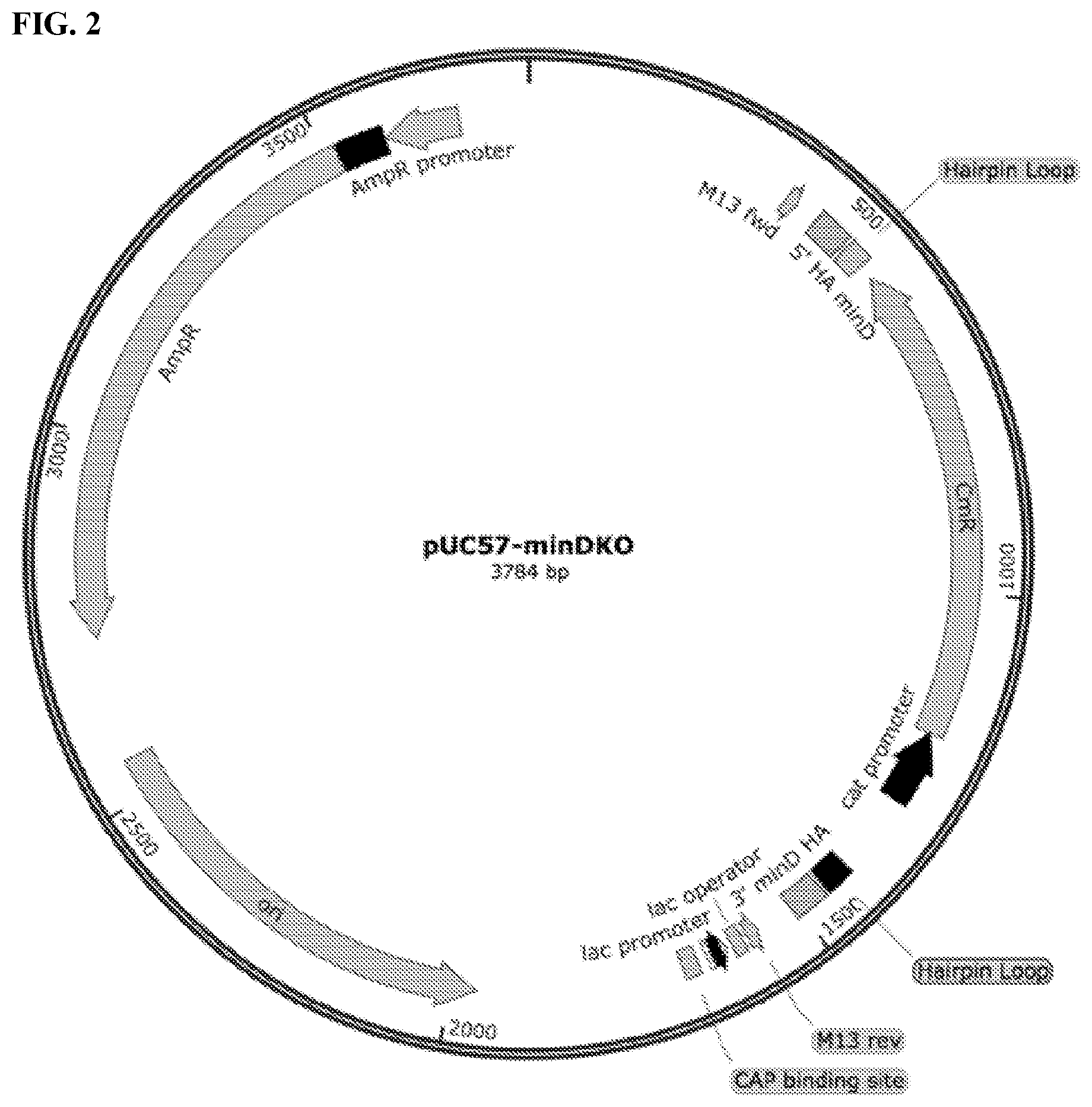 Patent US11812743 Figure 2 – Compositions and methods for scalable production and delivery of biologicals