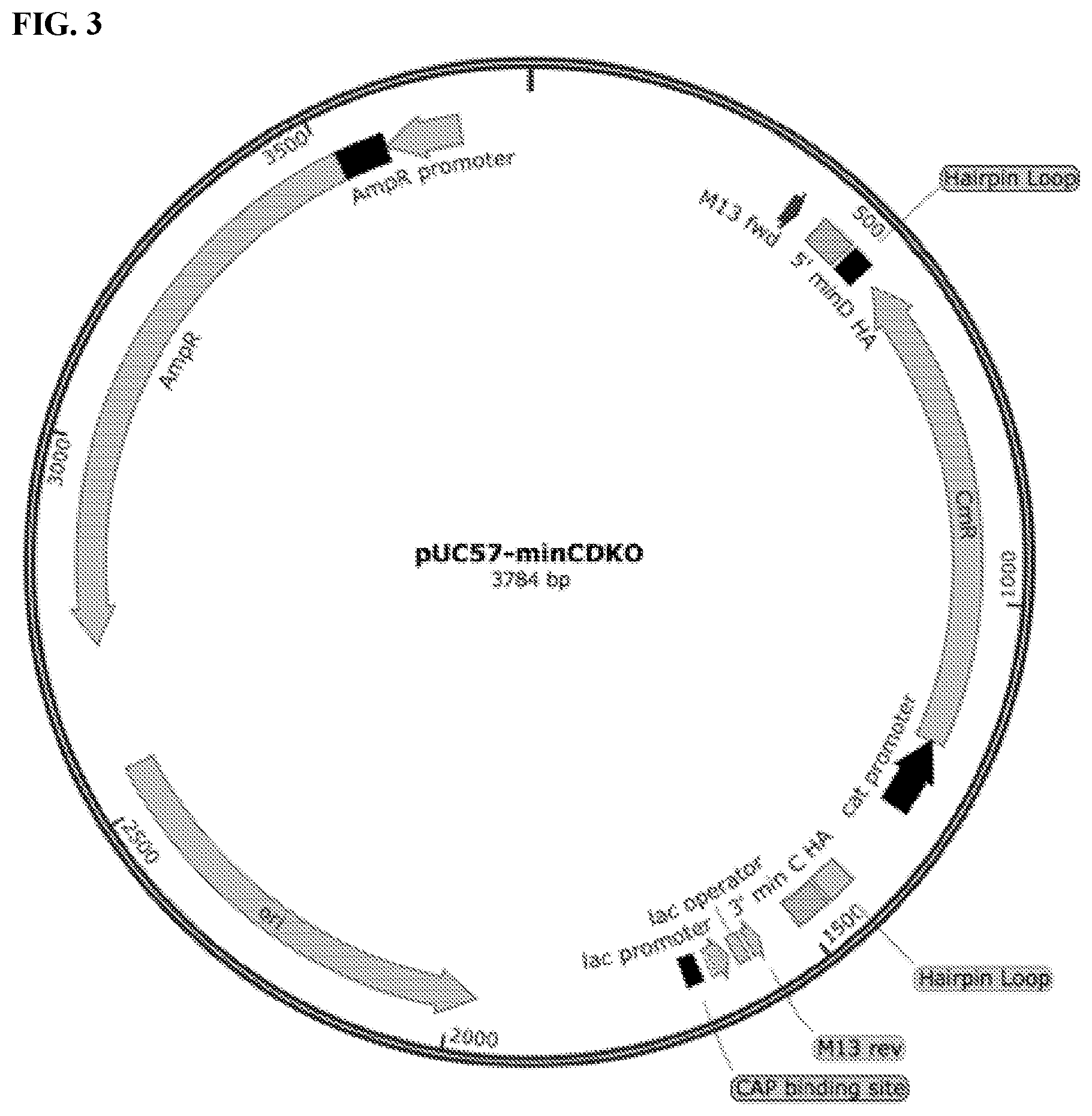 Patent US11812743 Figure 3 – Compositions and methods for scalable production and delivery of biologicals
