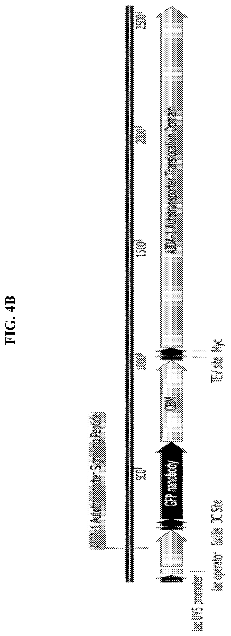Patent US11812743 Figure 5 – Compositions and methods for scalable production and delivery of biologicals
