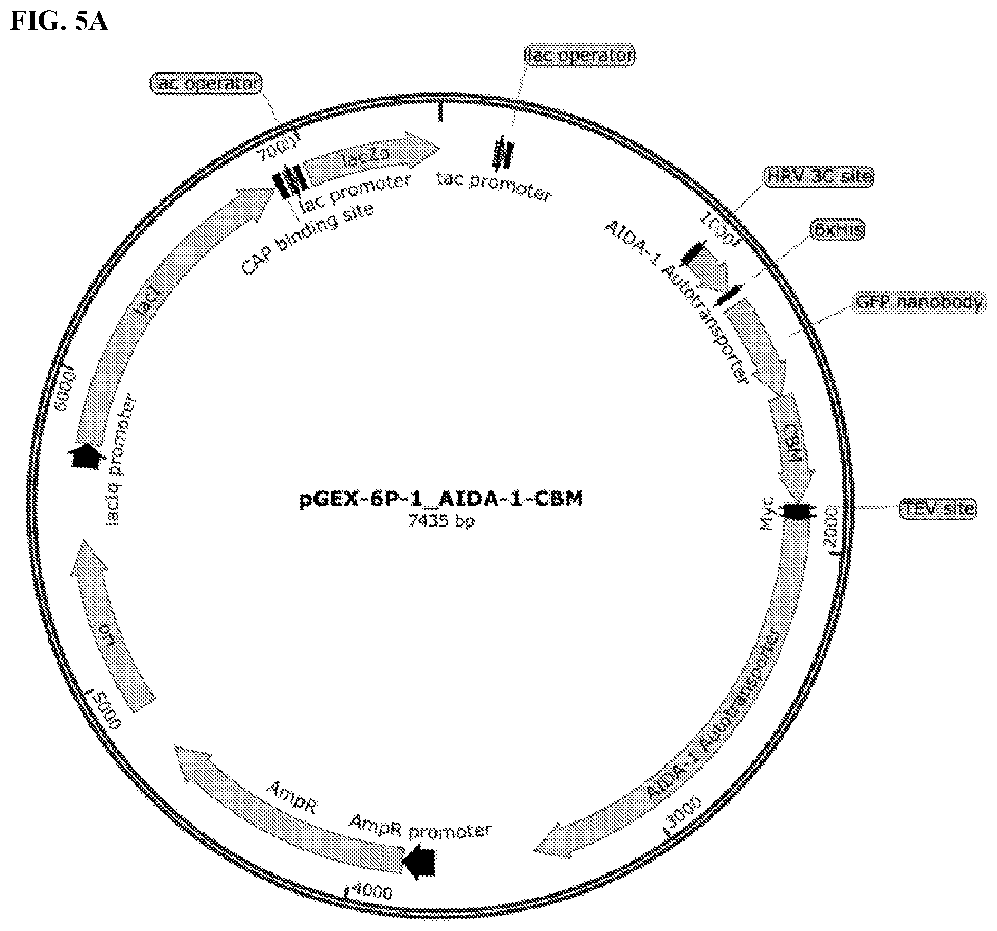 Patent US11812743 Figure 6 – Compositions and methods for scalable production and delivery of biologicals