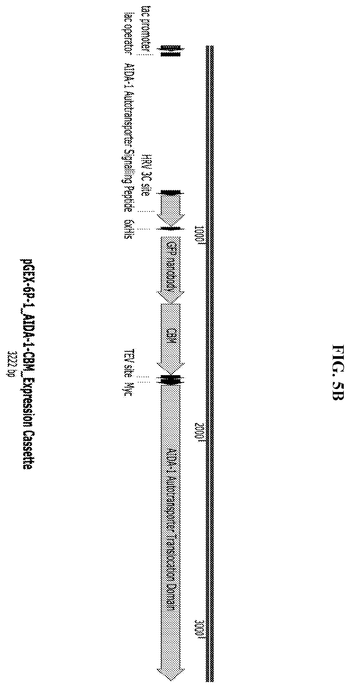 Patent US11812743 Figure 7 – Compositions and methods for scalable production and delivery of biologicals