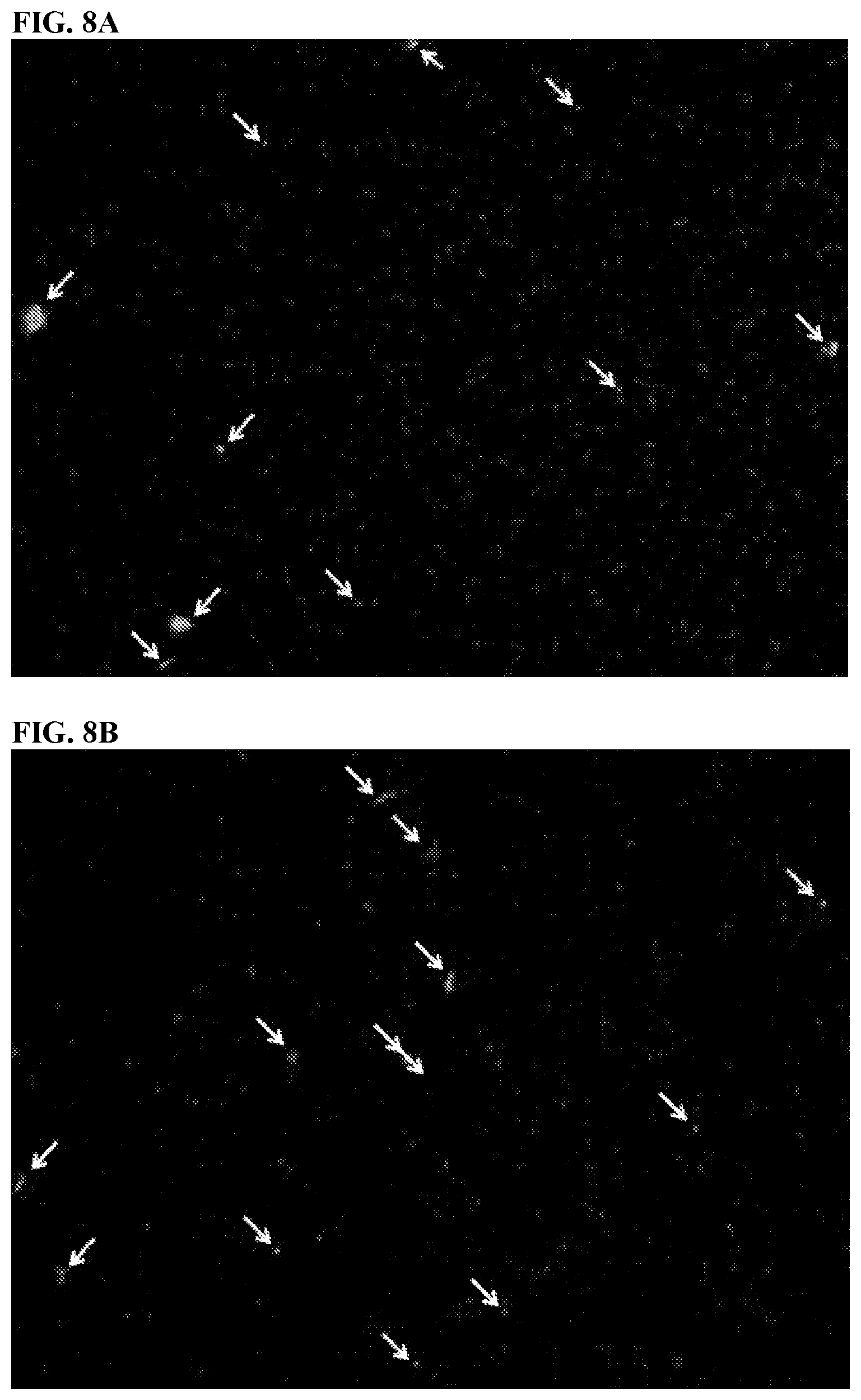 Patent US11812743 Figure 12 – Compositions and methods for scalable production and delivery of biologicals