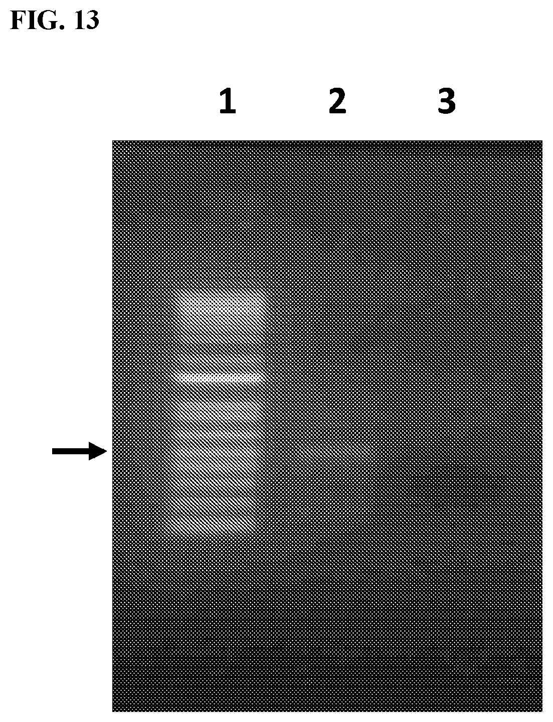 Patent US11812743 Figure 18 – Compositions and methods for scalable production and delivery of biologicals