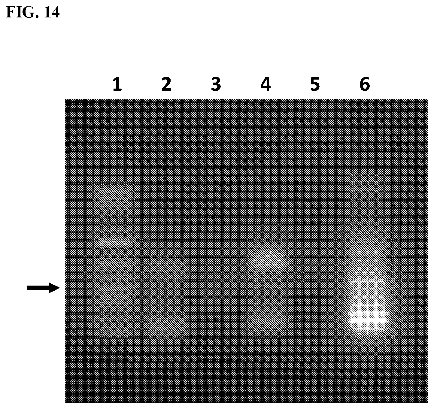 Patent US11812743 Figure 19 – Compositions and methods for scalable production and delivery of biologicals