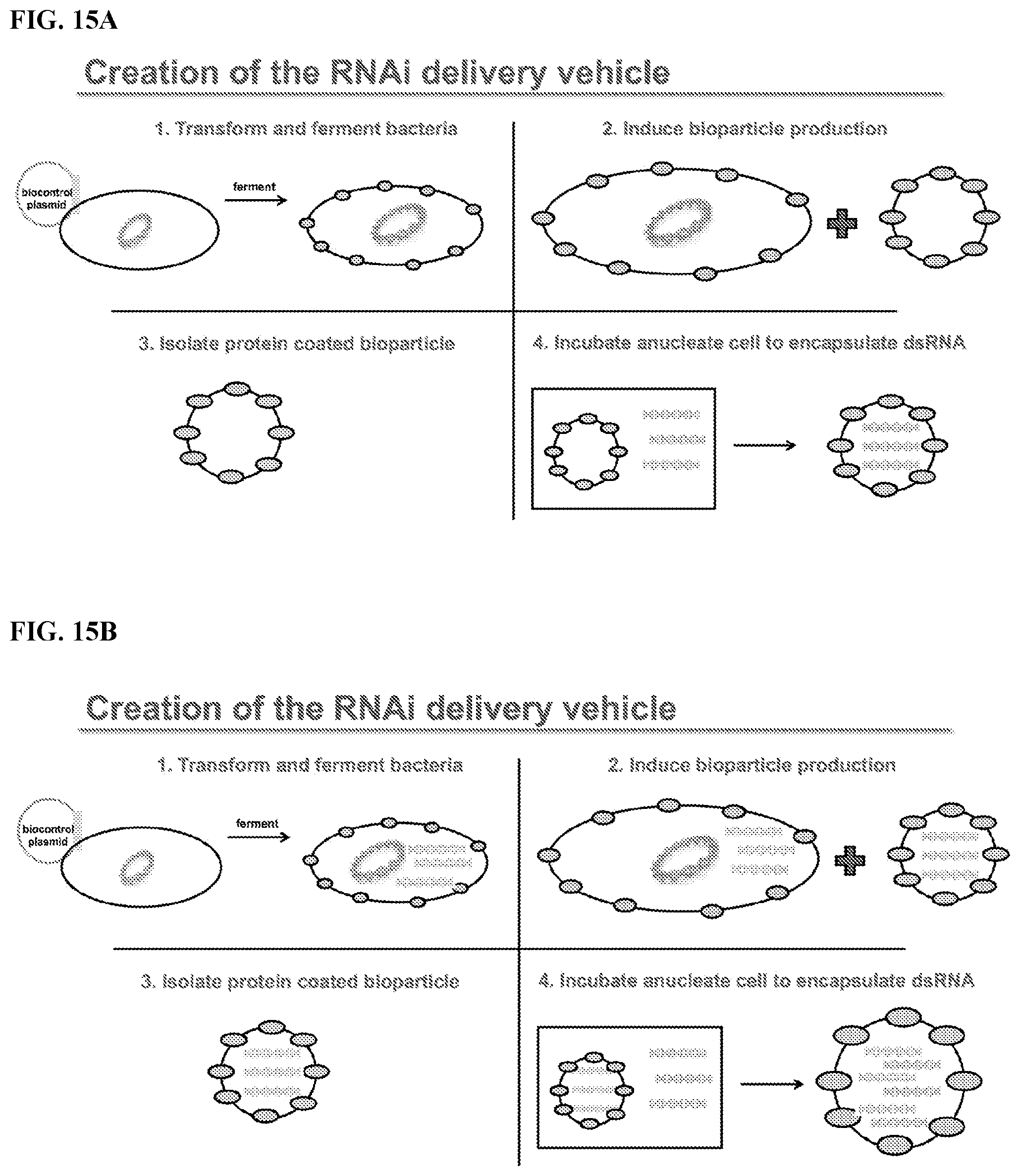 Patent US11812743 Figure 20 – Compositions and methods for scalable production and delivery of biologicals
