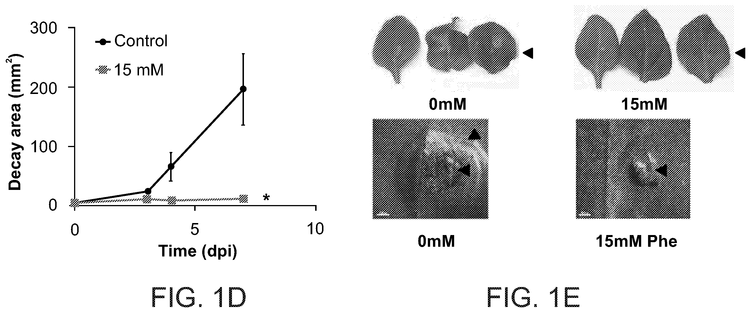 Patent US11812746 Figure 2 – Method of controlling fungal infections in plants