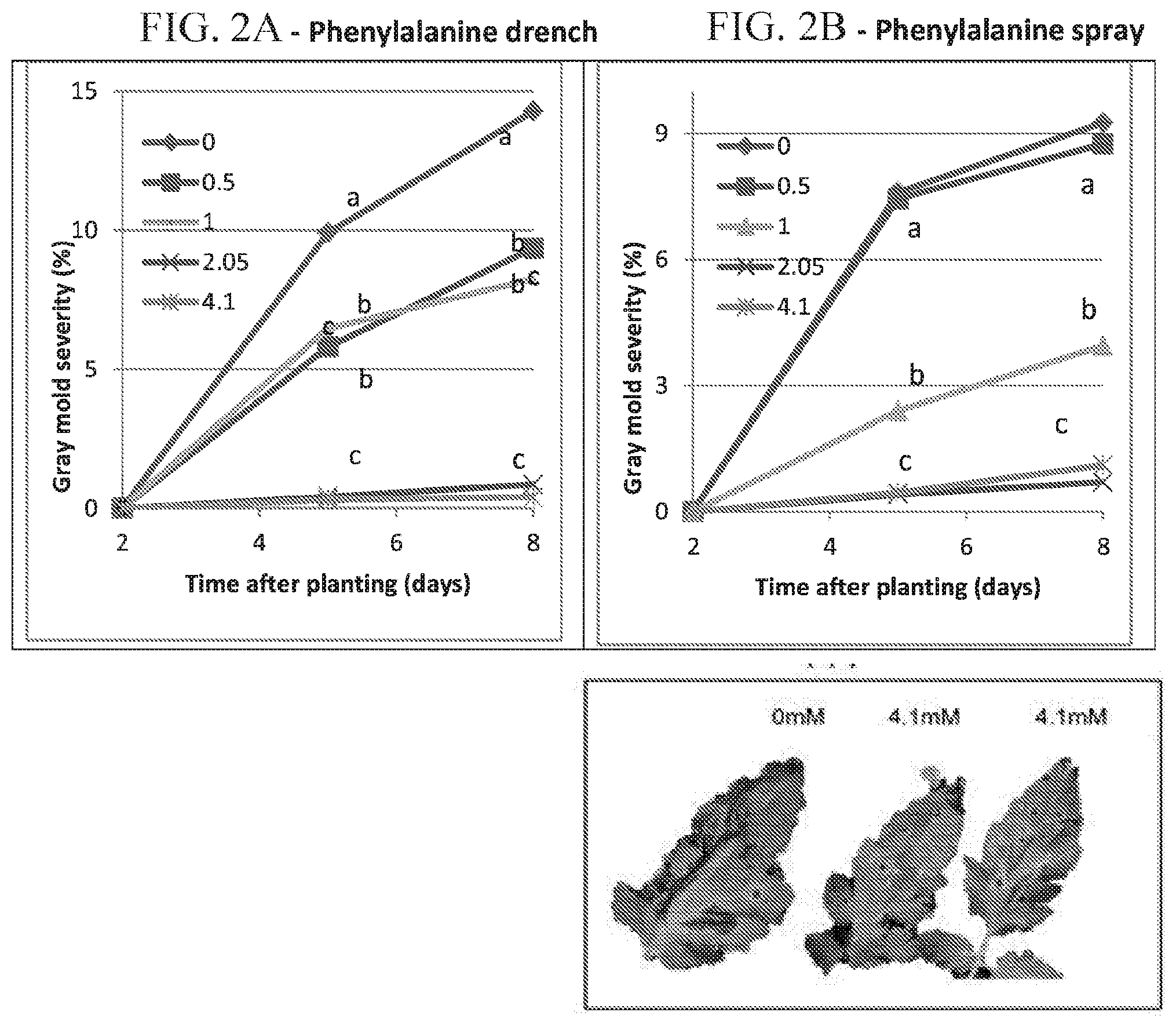 Patent US11812746 Figure 3 – Method of controlling fungal infections in plants
