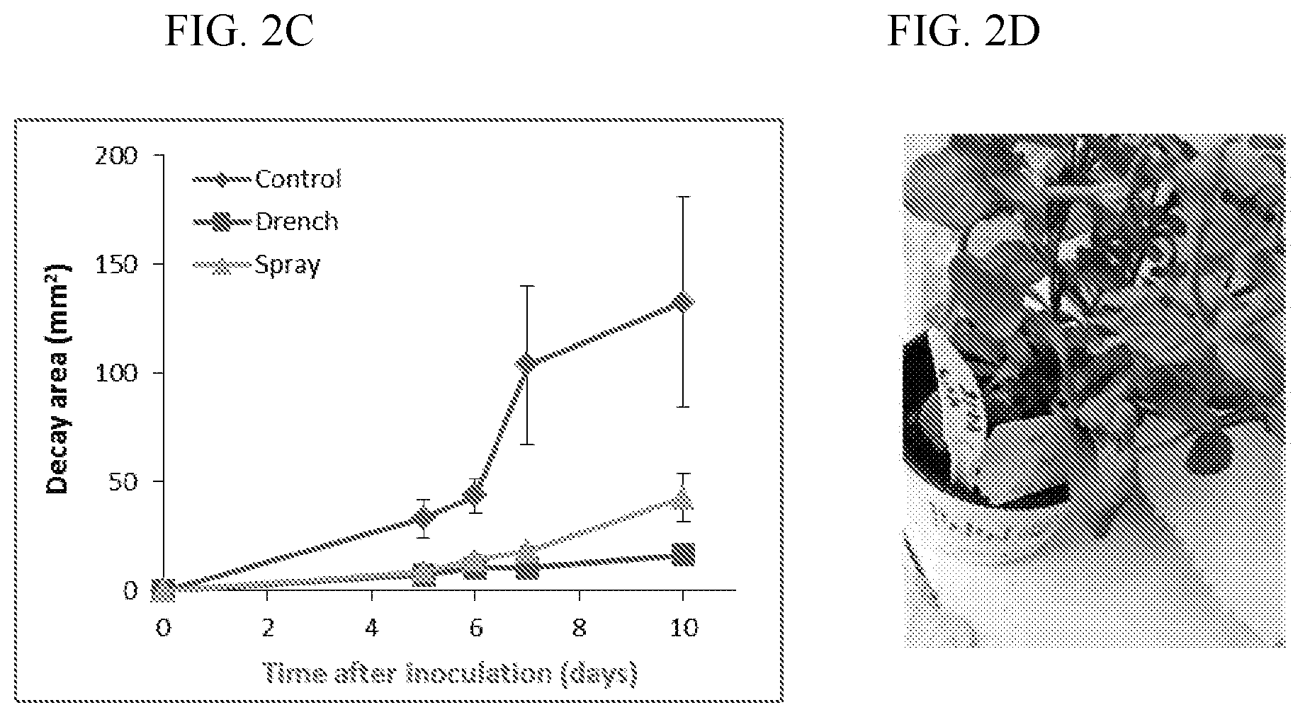 Patent US11812746 Figure 4 – Method of controlling fungal infections in plants