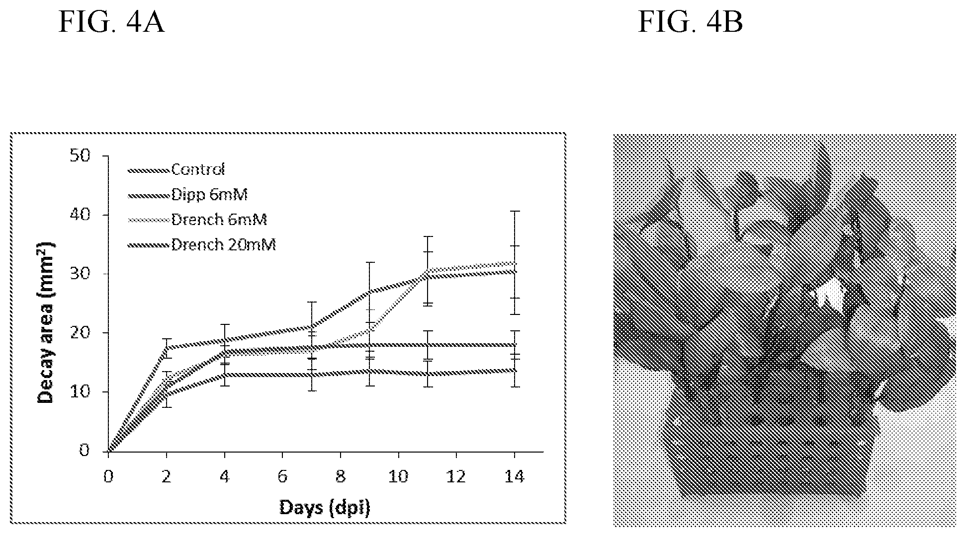 Patent US11812746 Figure 7 – Method of controlling fungal infections in plants
