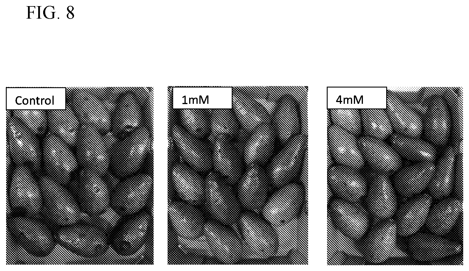 Patent US11812746 Figure 10 – Method of controlling fungal infections in plants