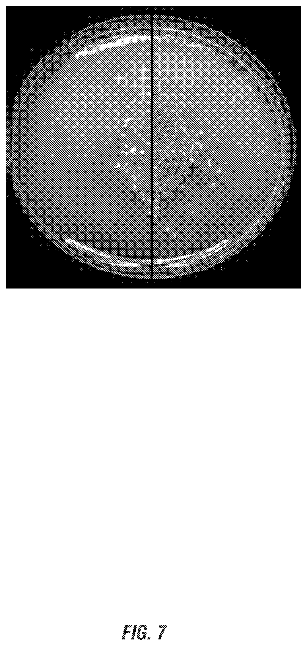 Patent US11812750 Figure 6 – Rare earth dependent plant probiotic compositions and methods of use